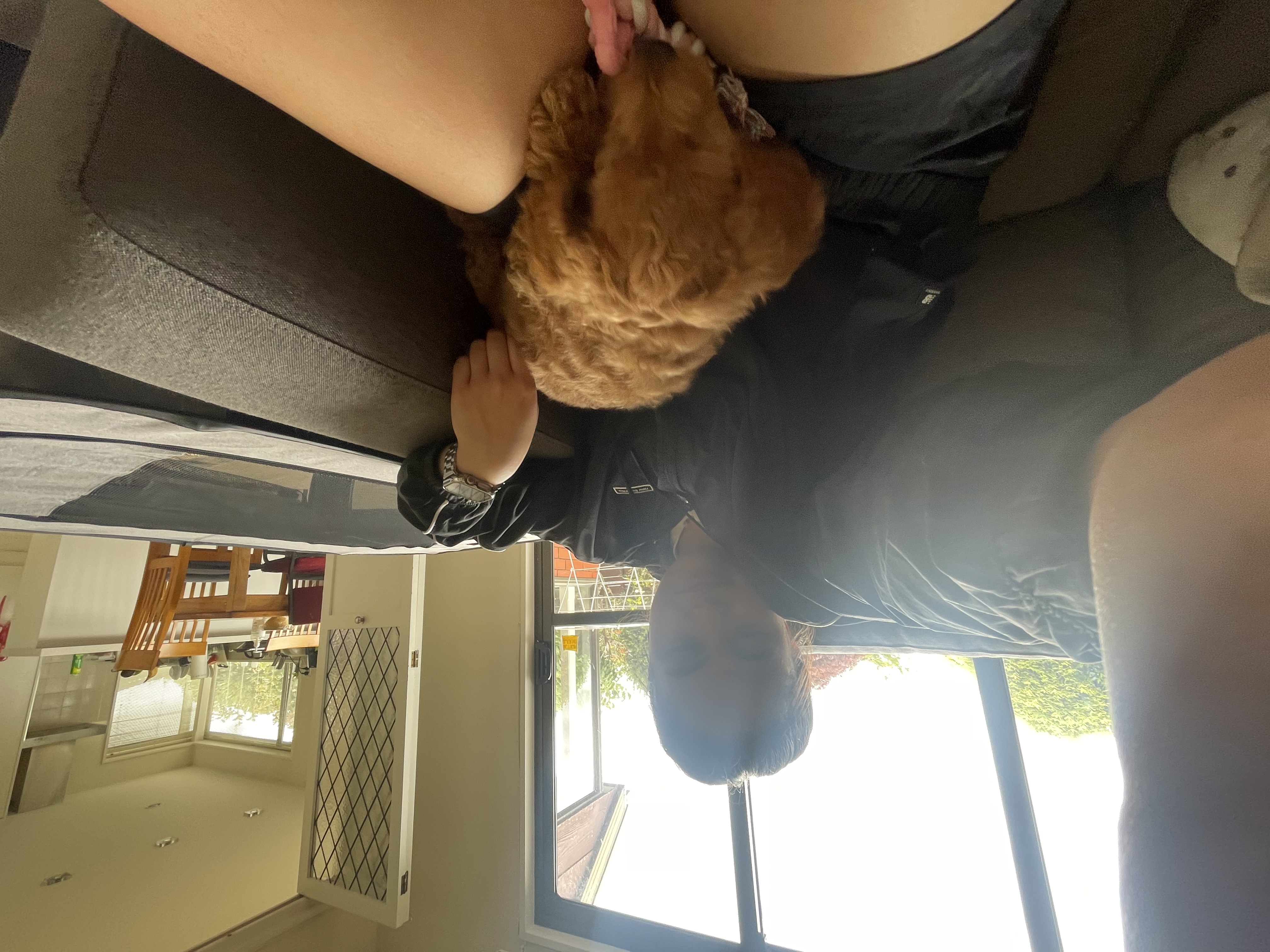 image-7