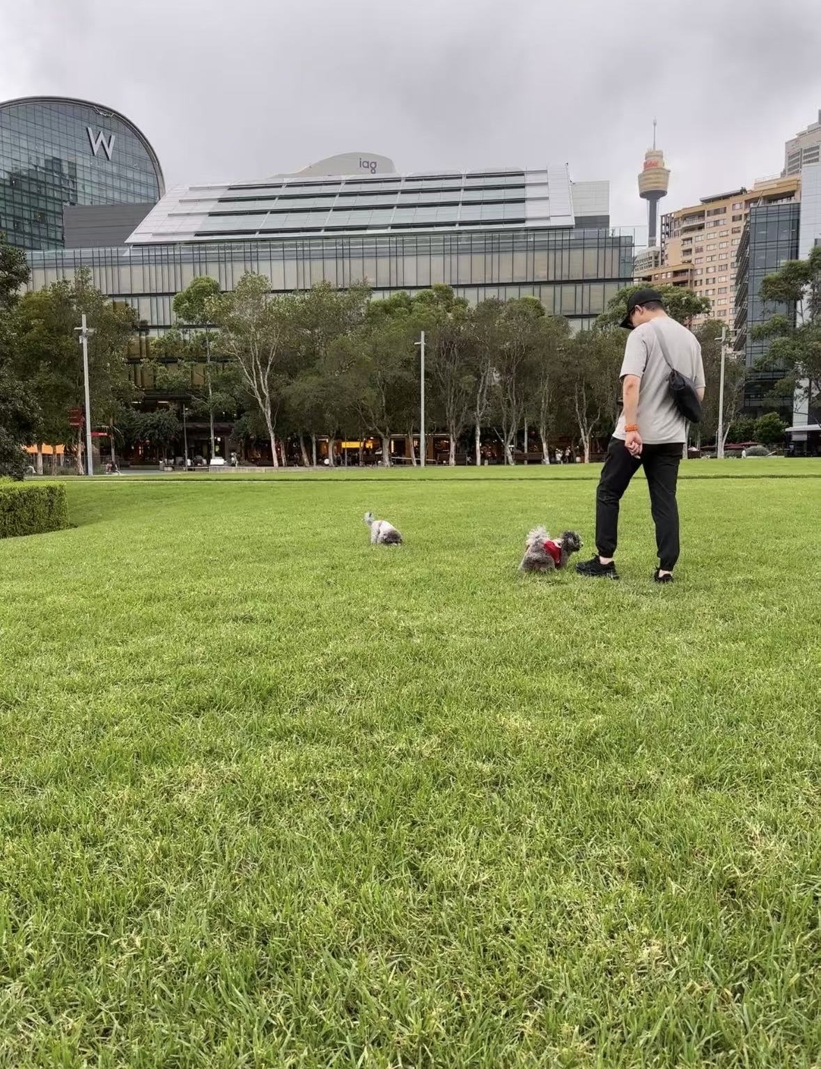 image-11