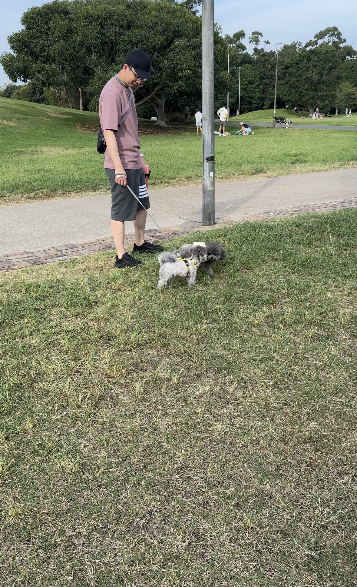 image-16