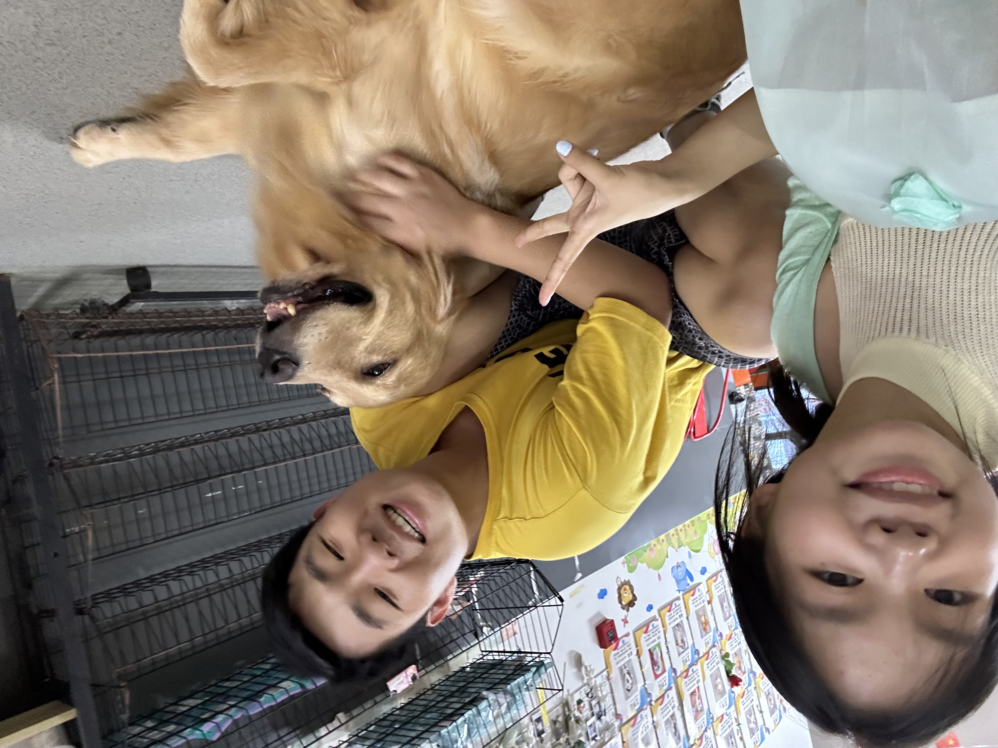 image-7