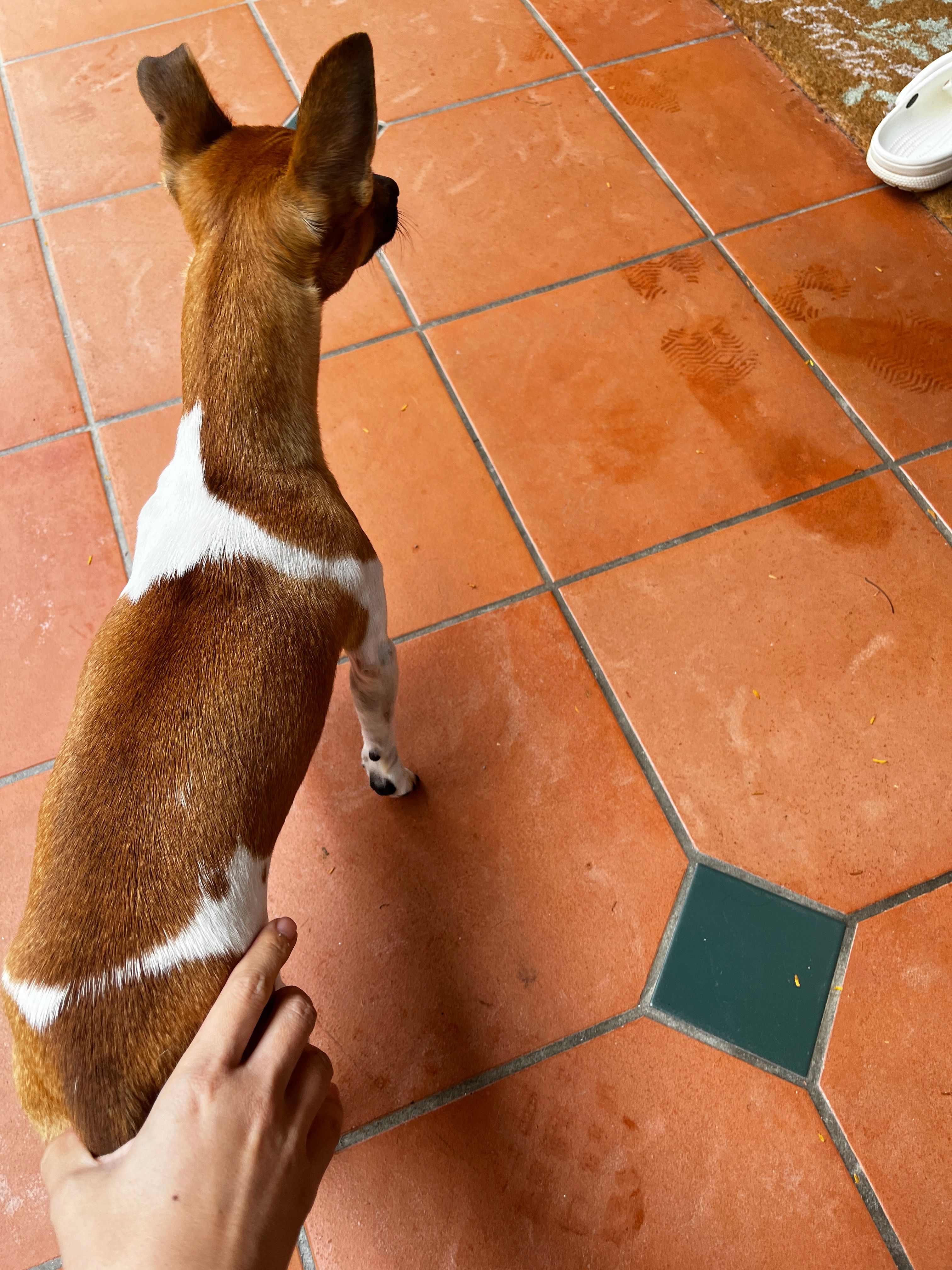 image-16
