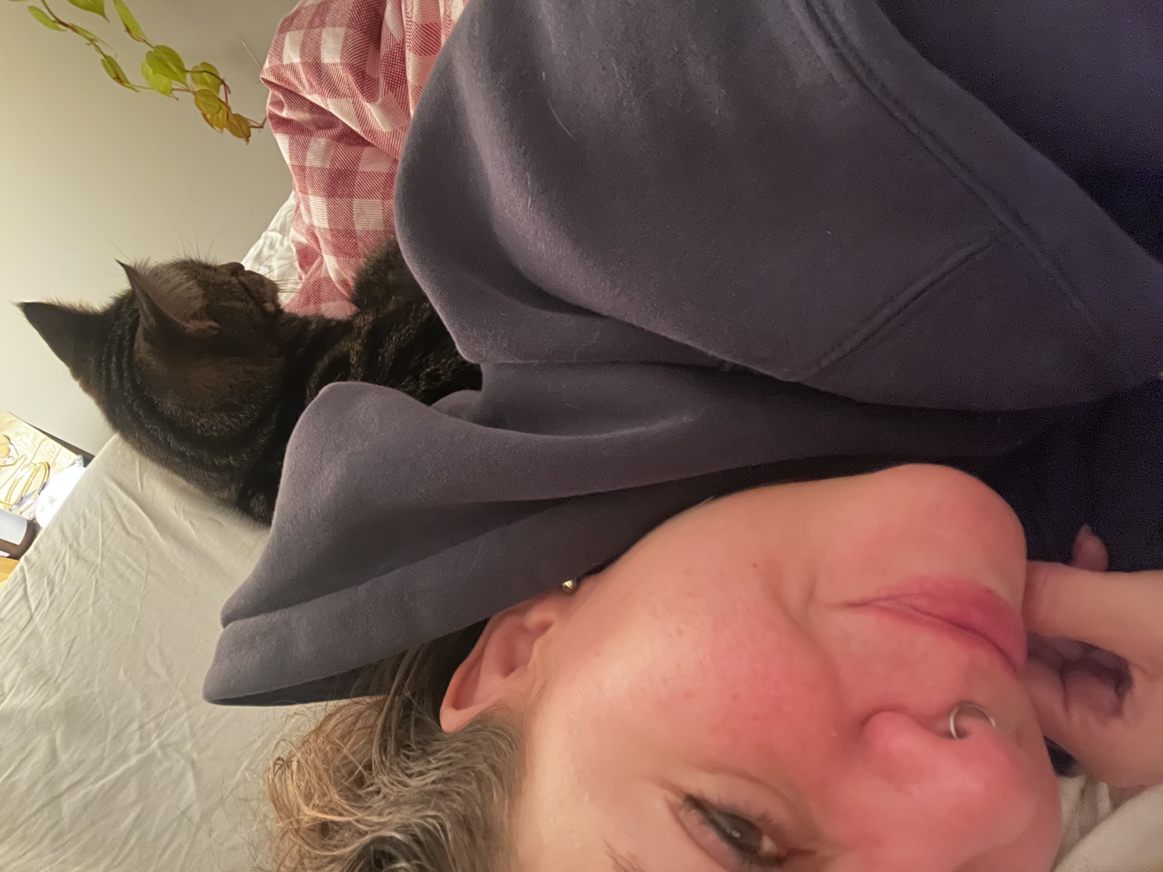image-4