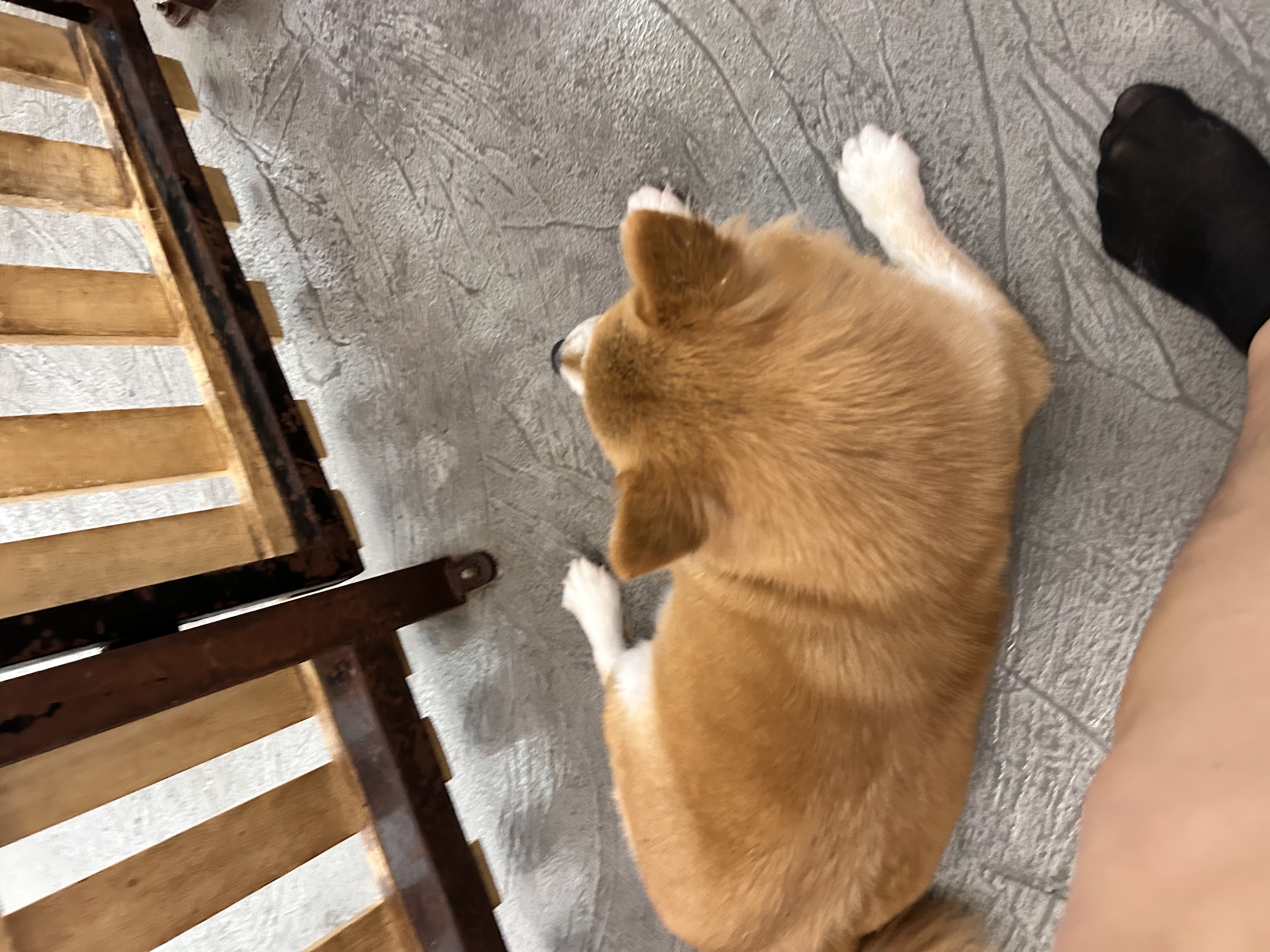 image-11