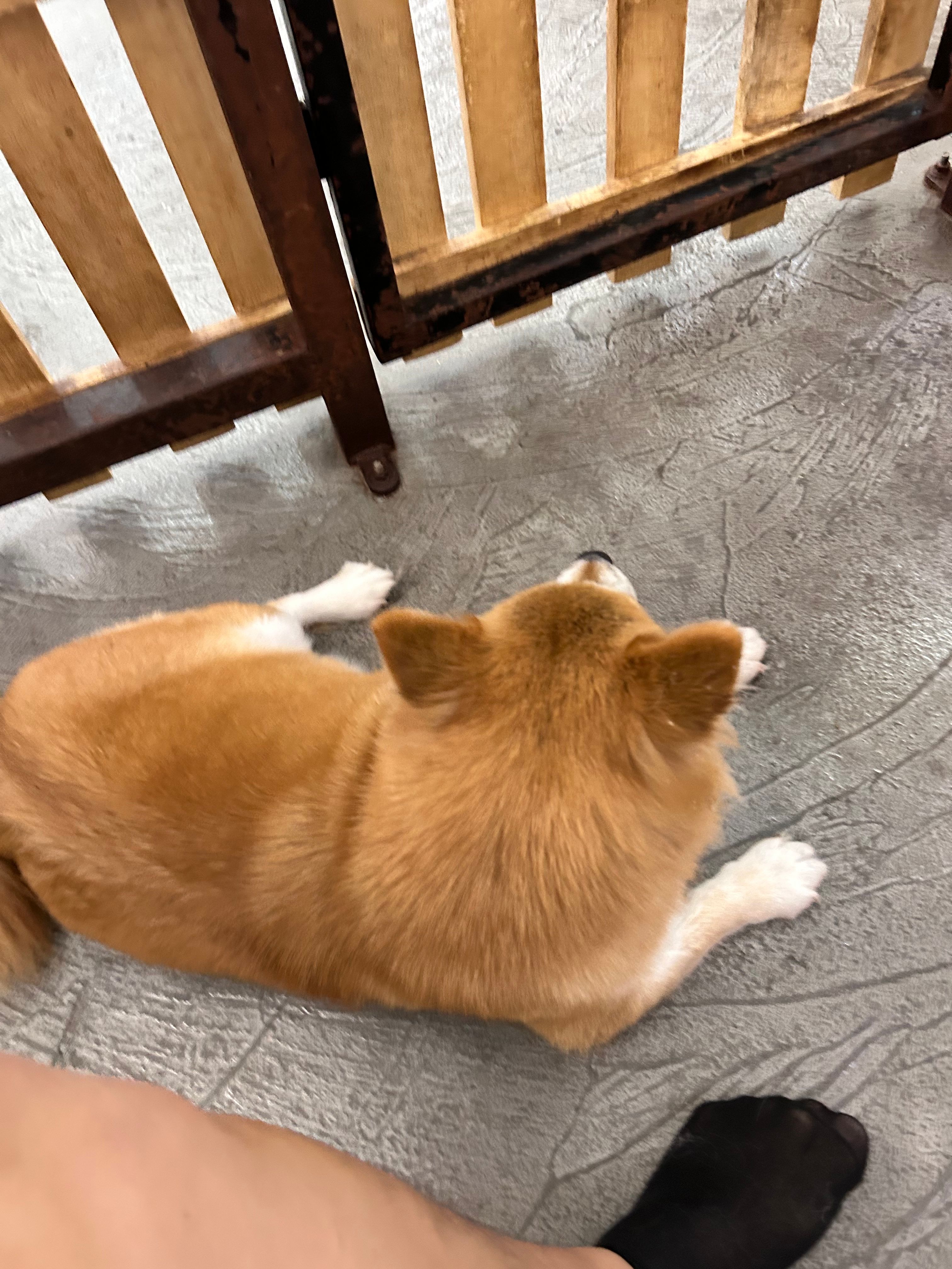 image-11