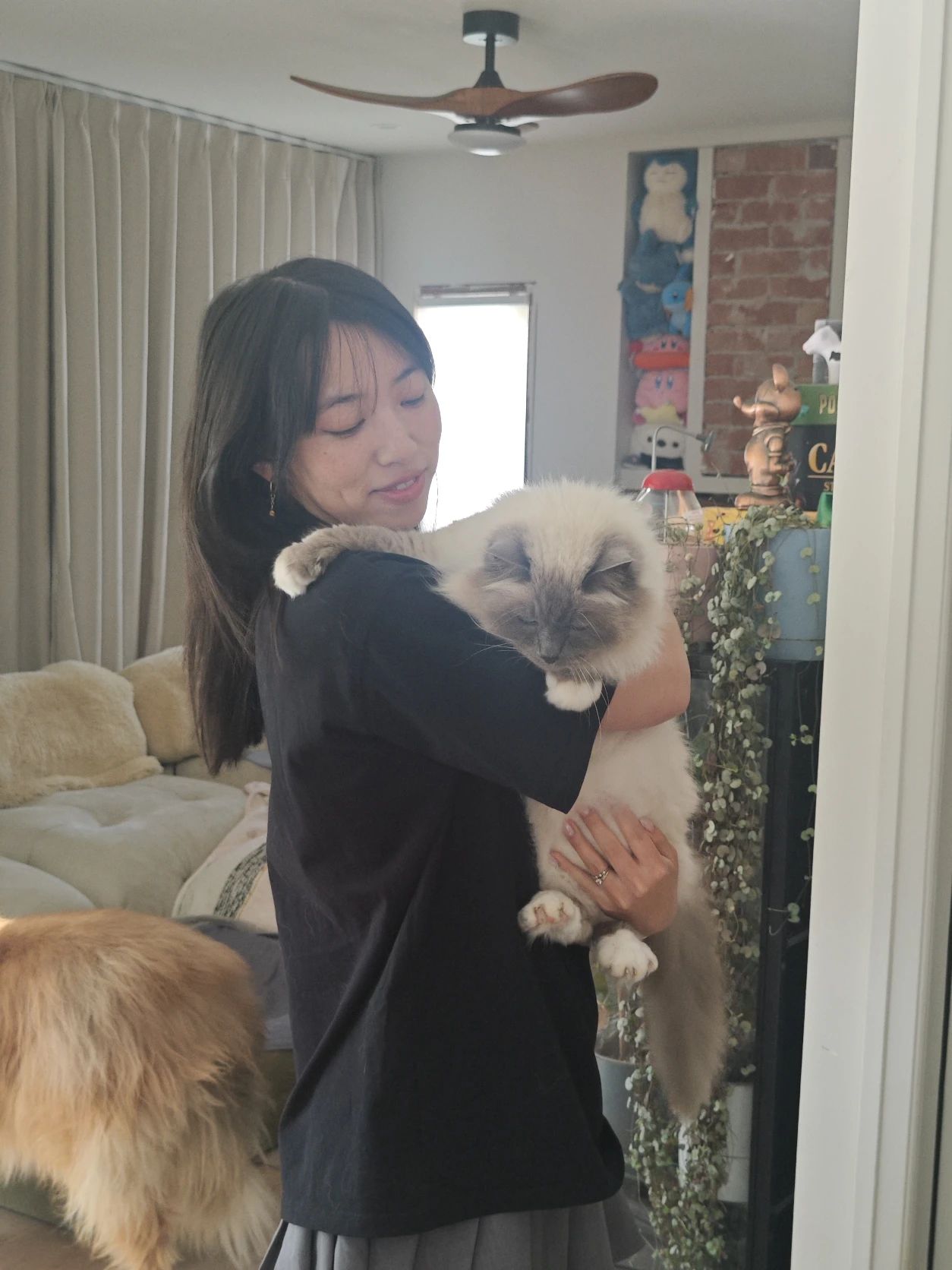 image-4