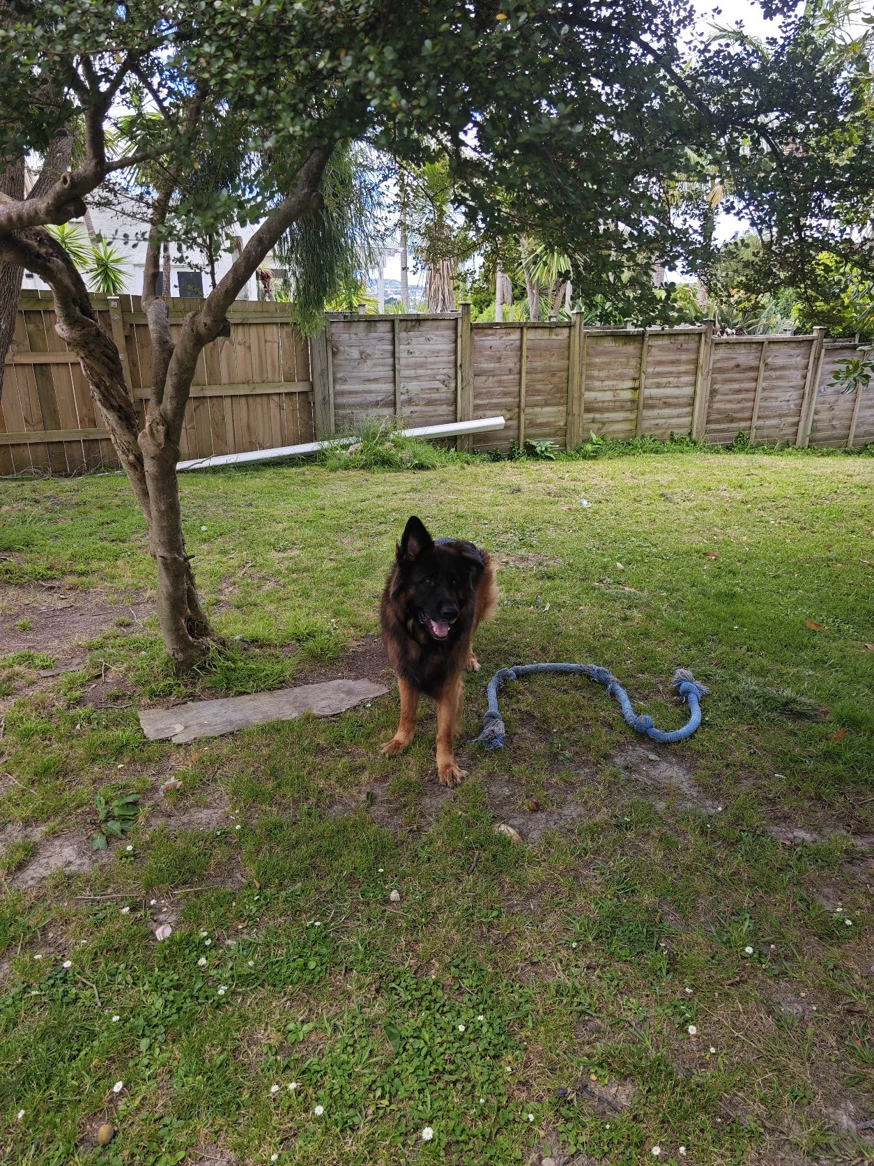image-10