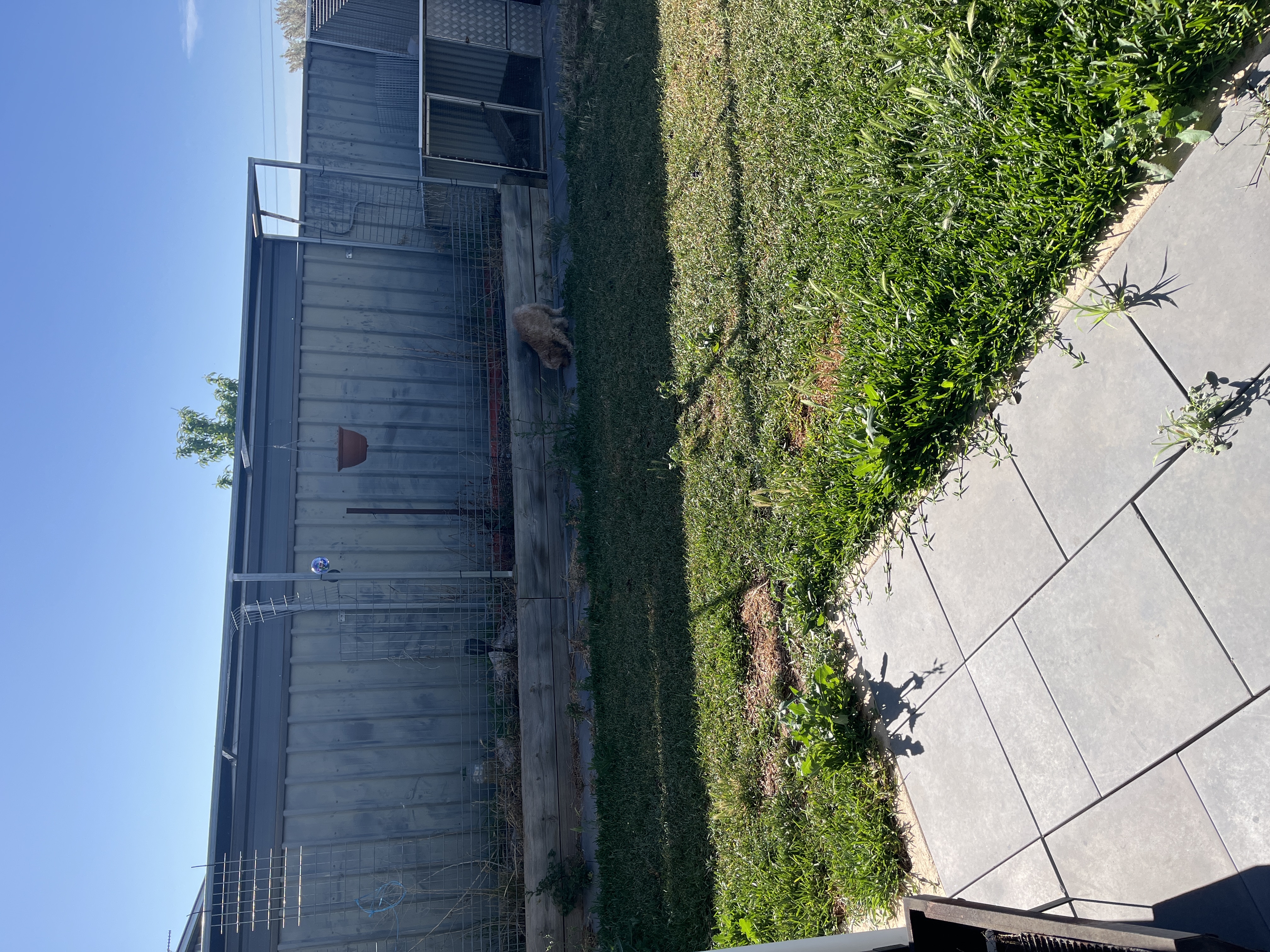 image-6