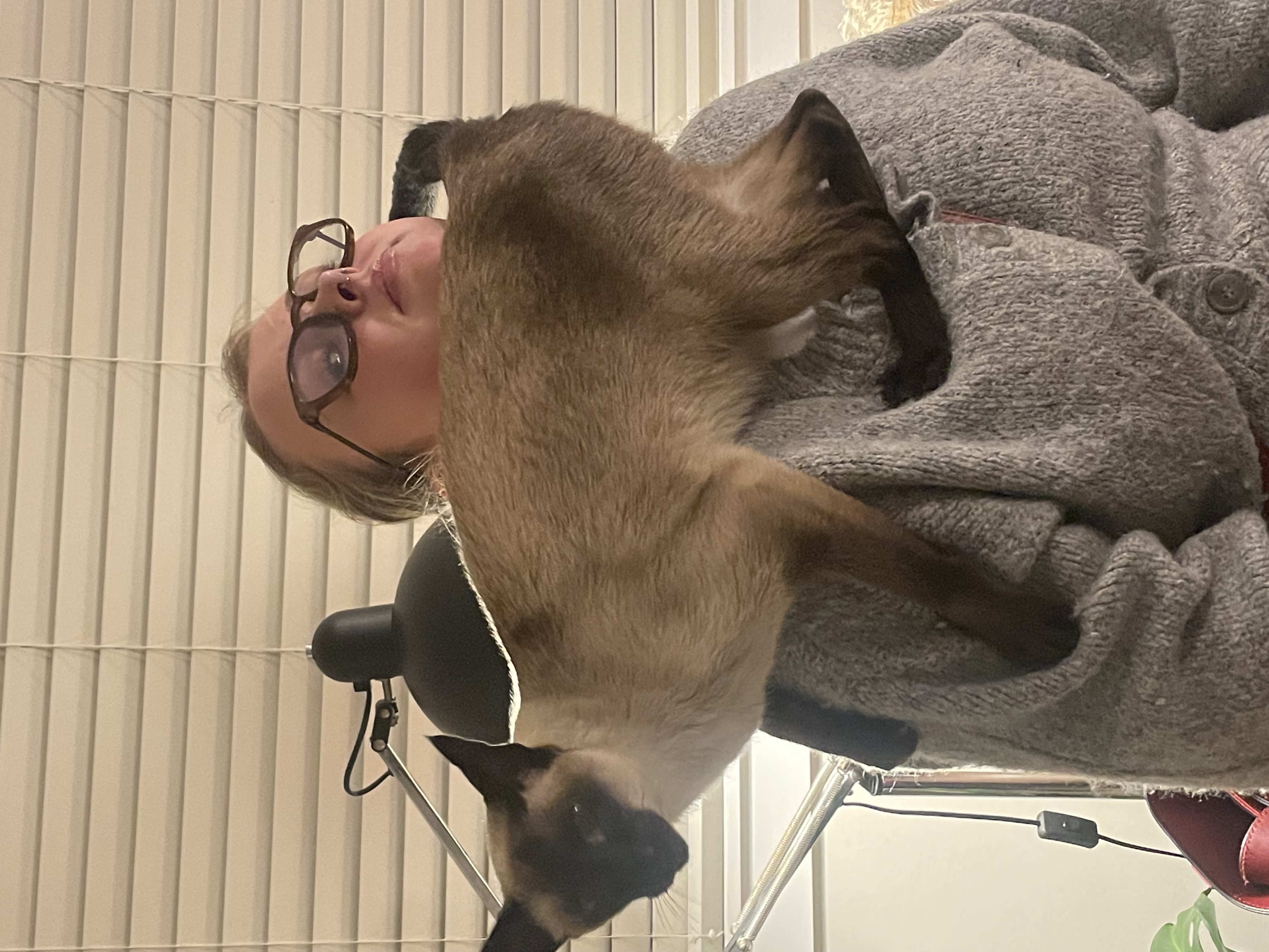 image-6