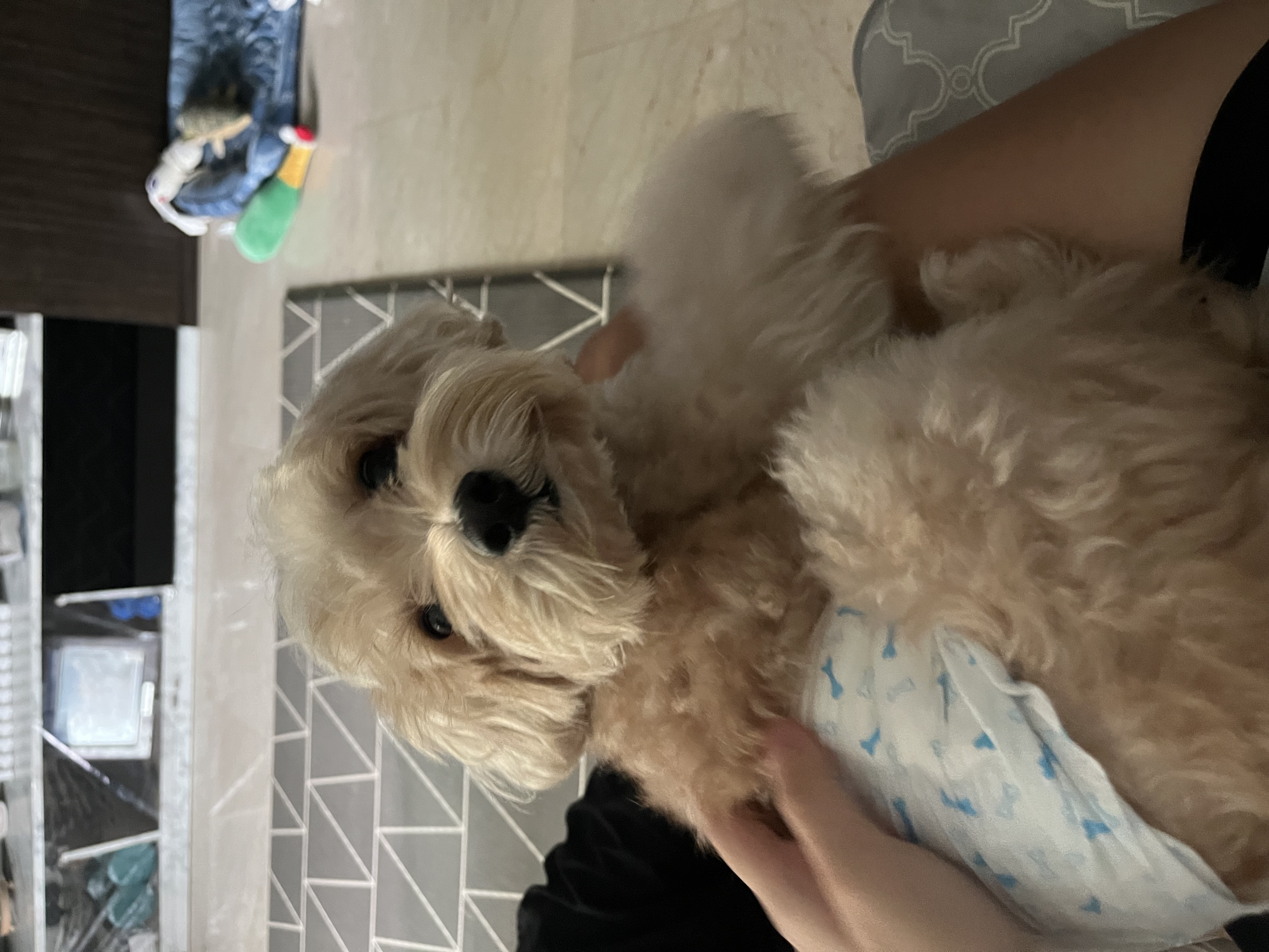 image-3