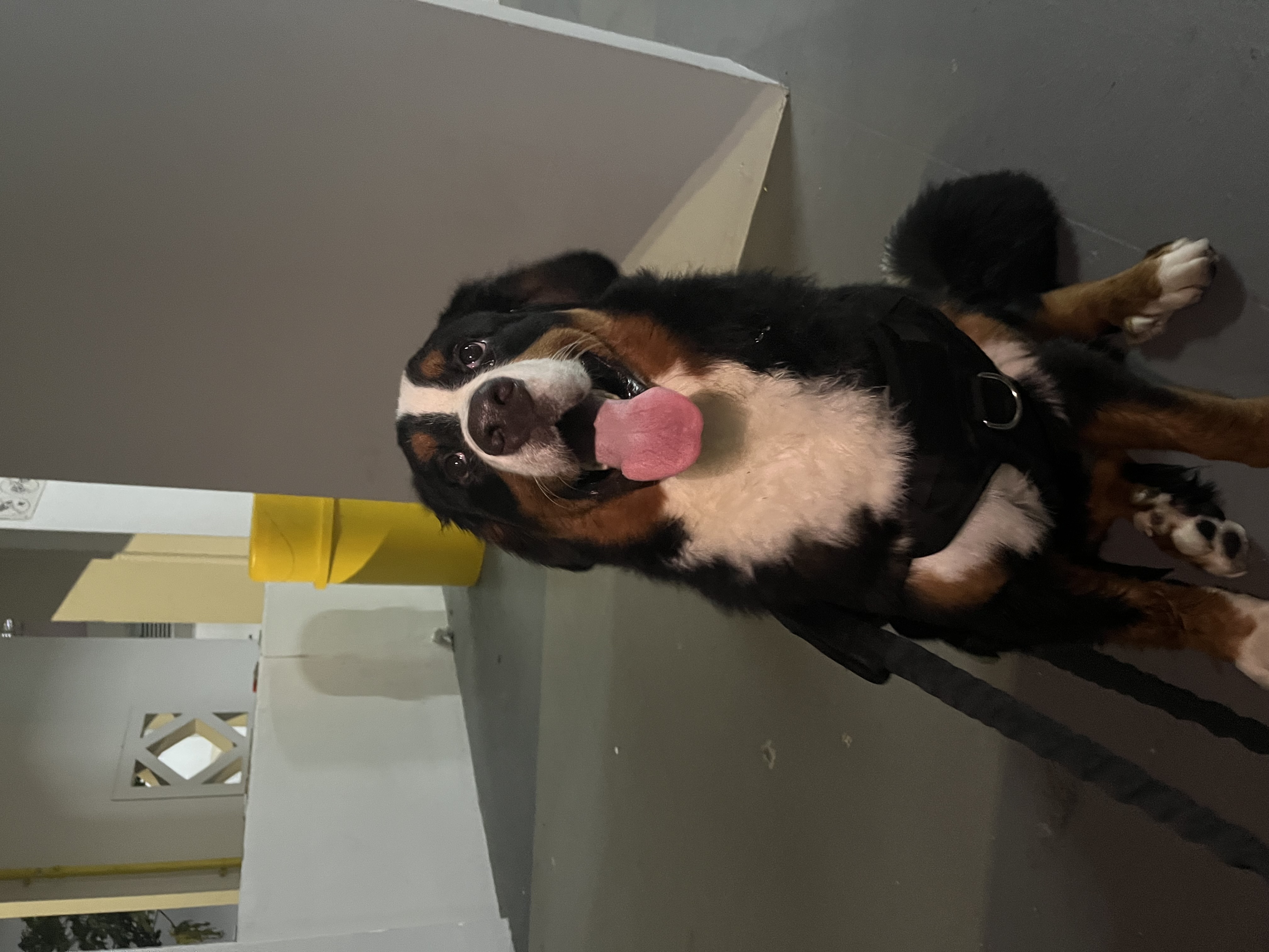 image-6