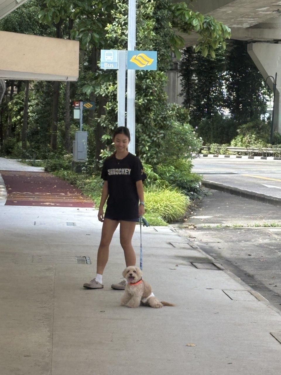 image-7