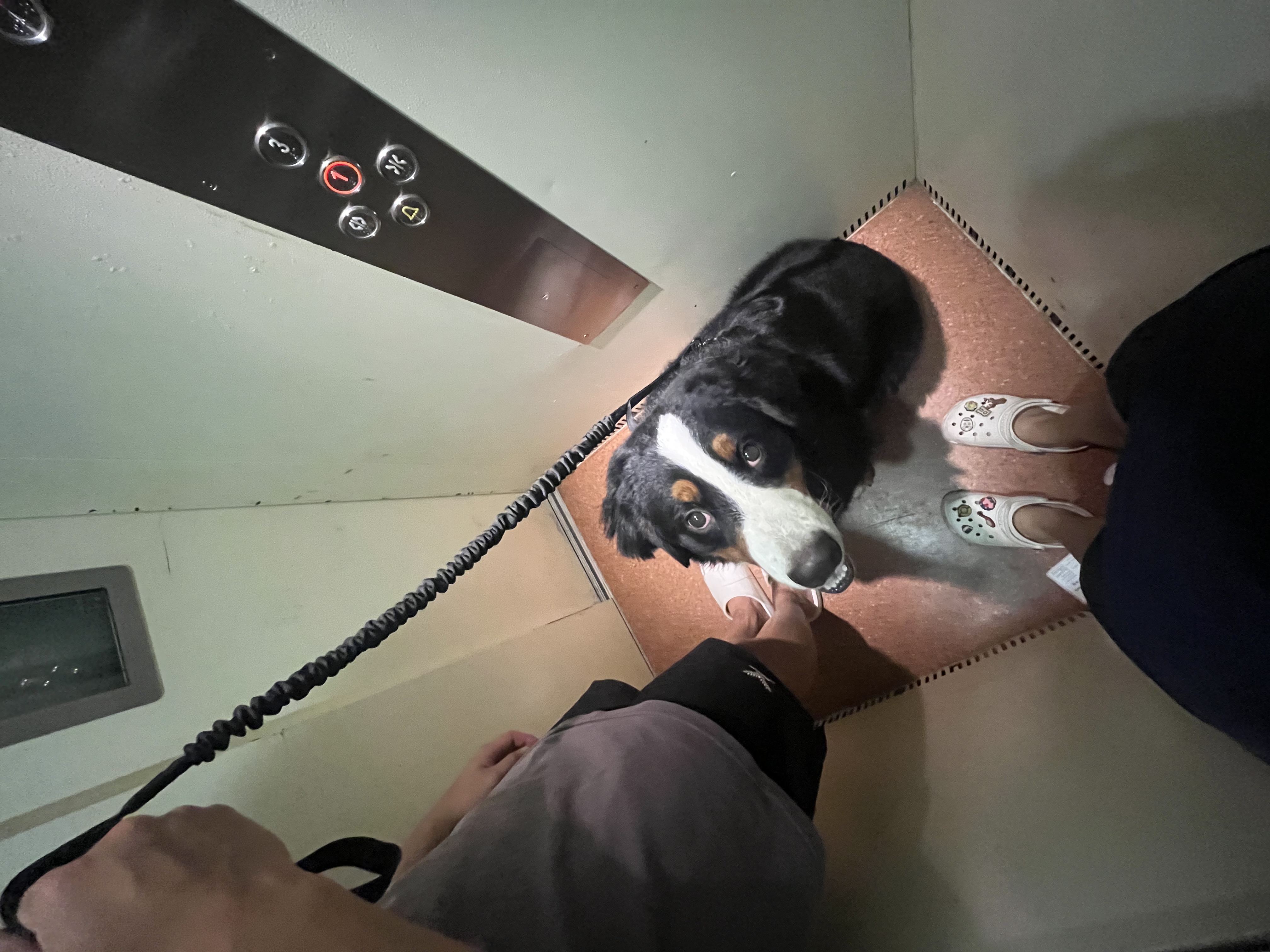 image-5