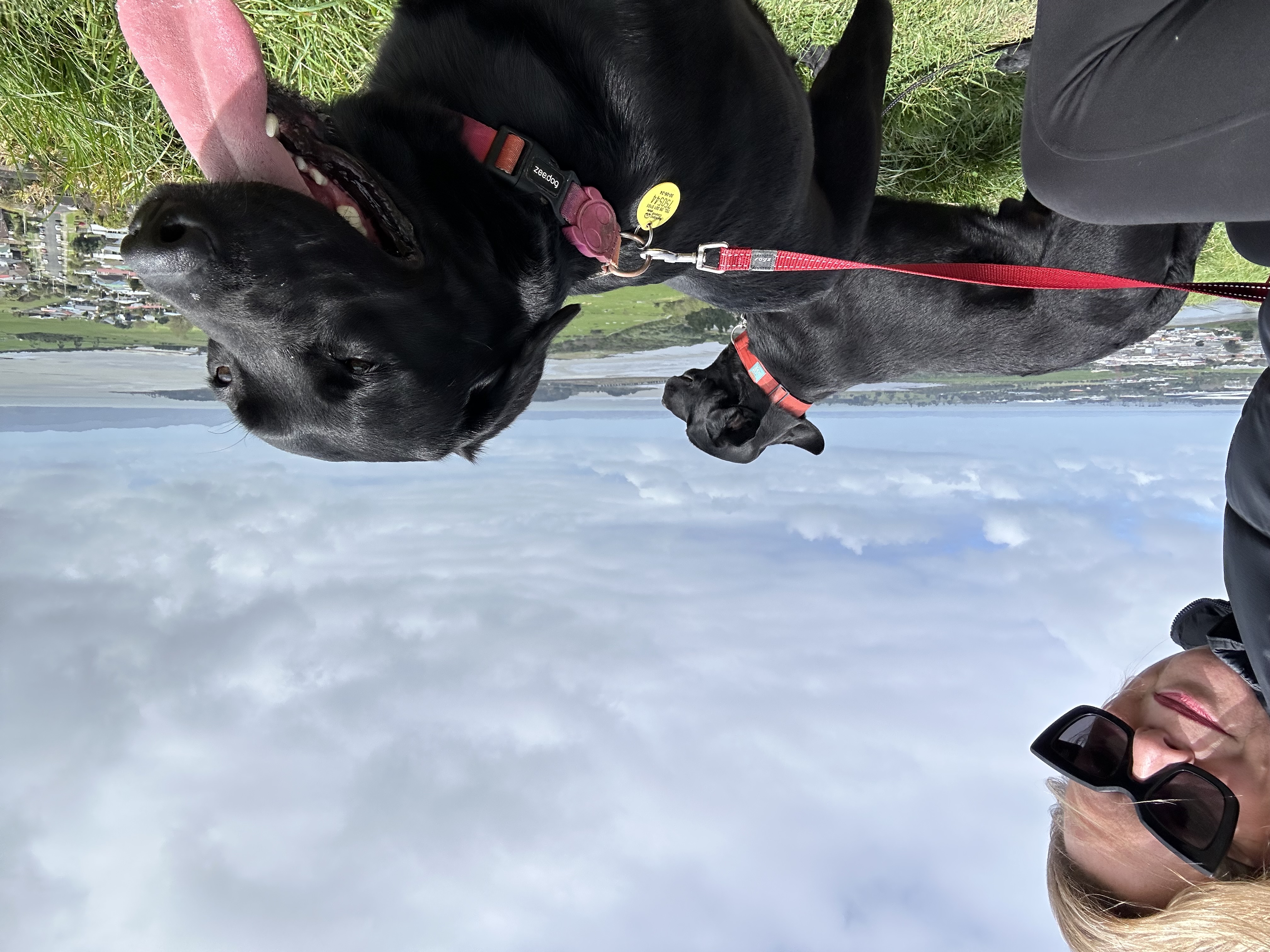 image-10