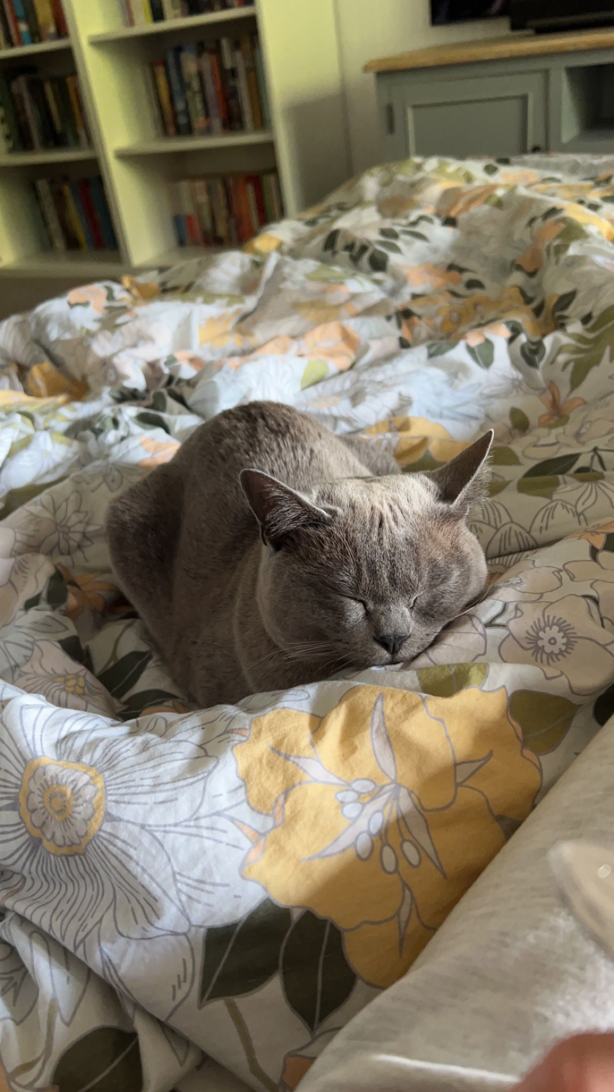 image-6