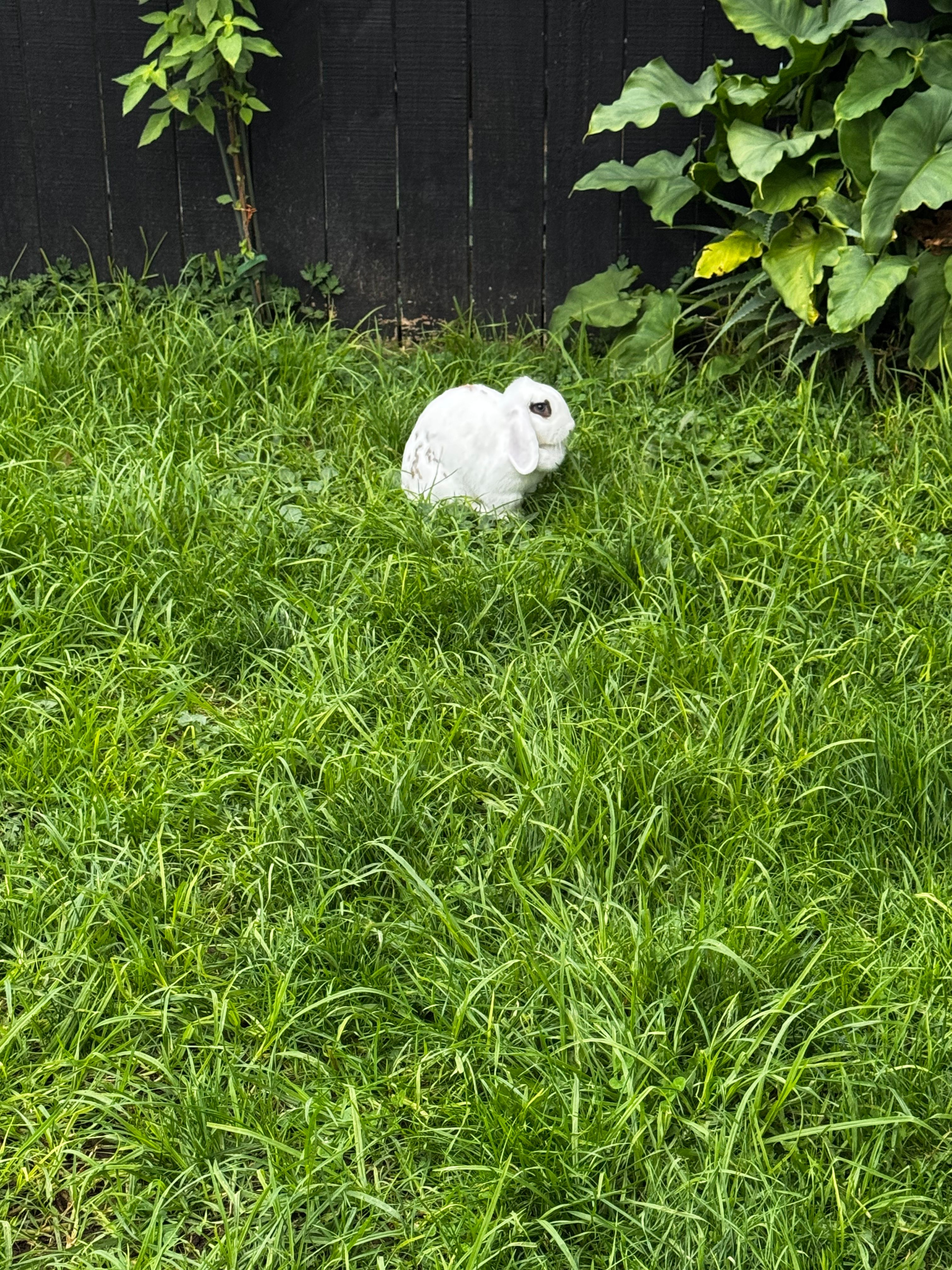 image-13