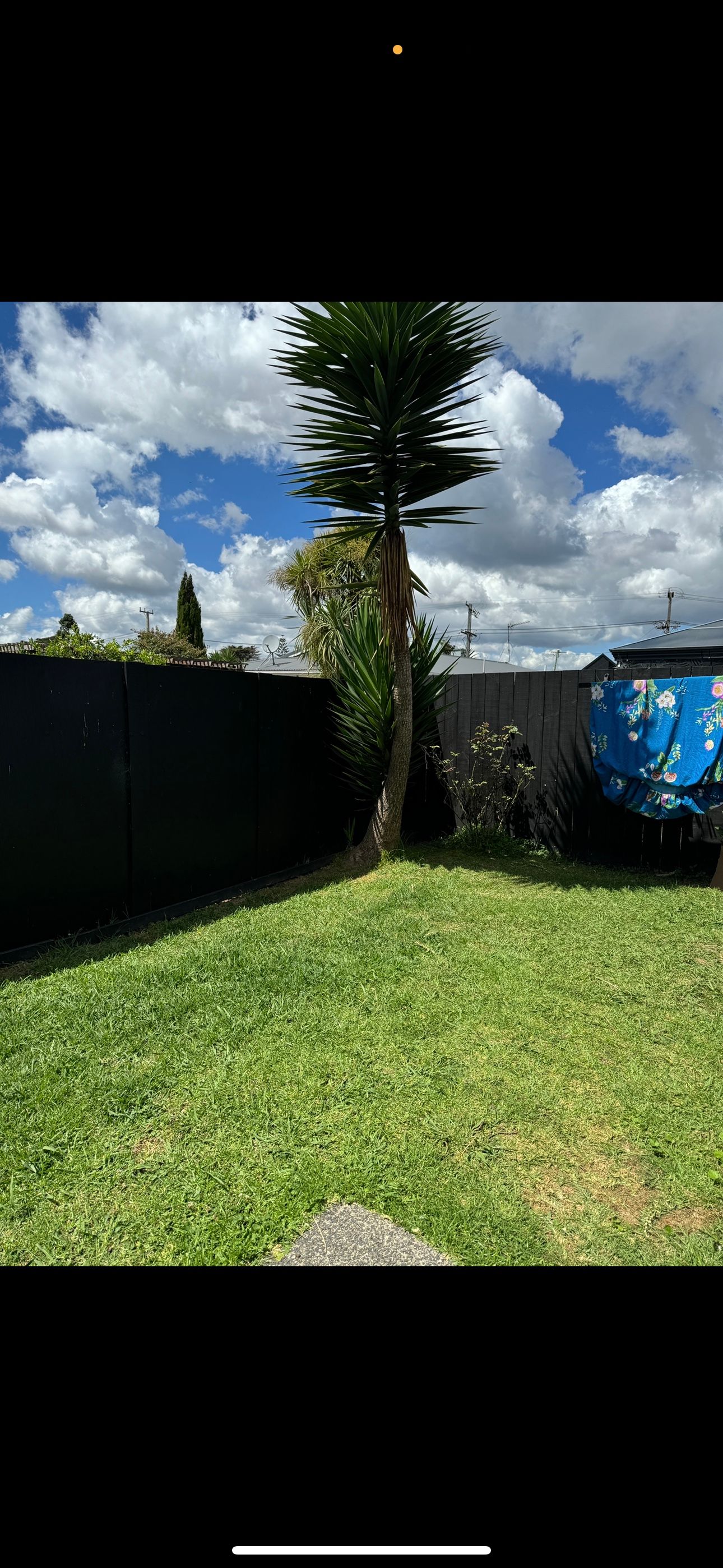image-19