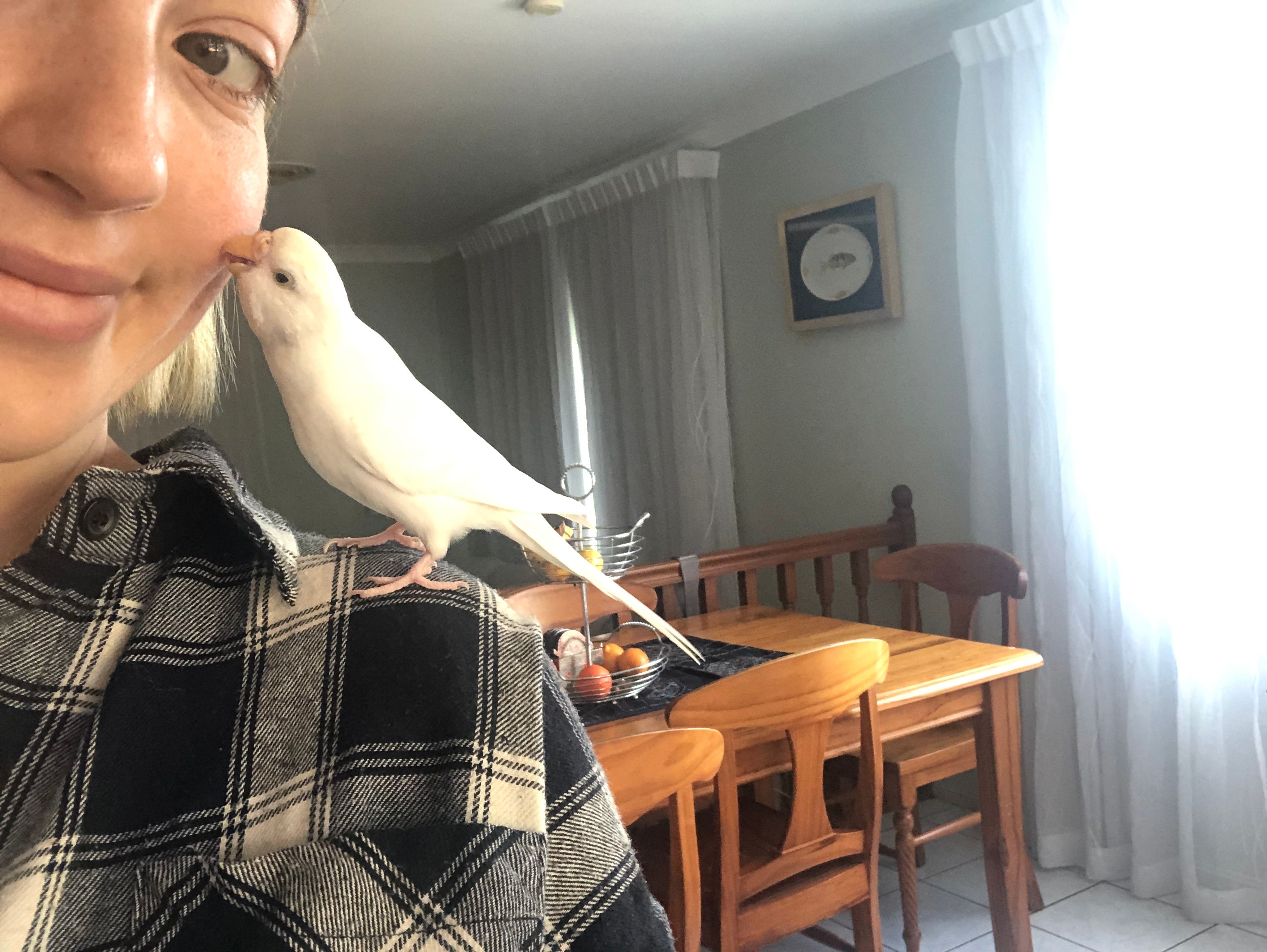 image-6