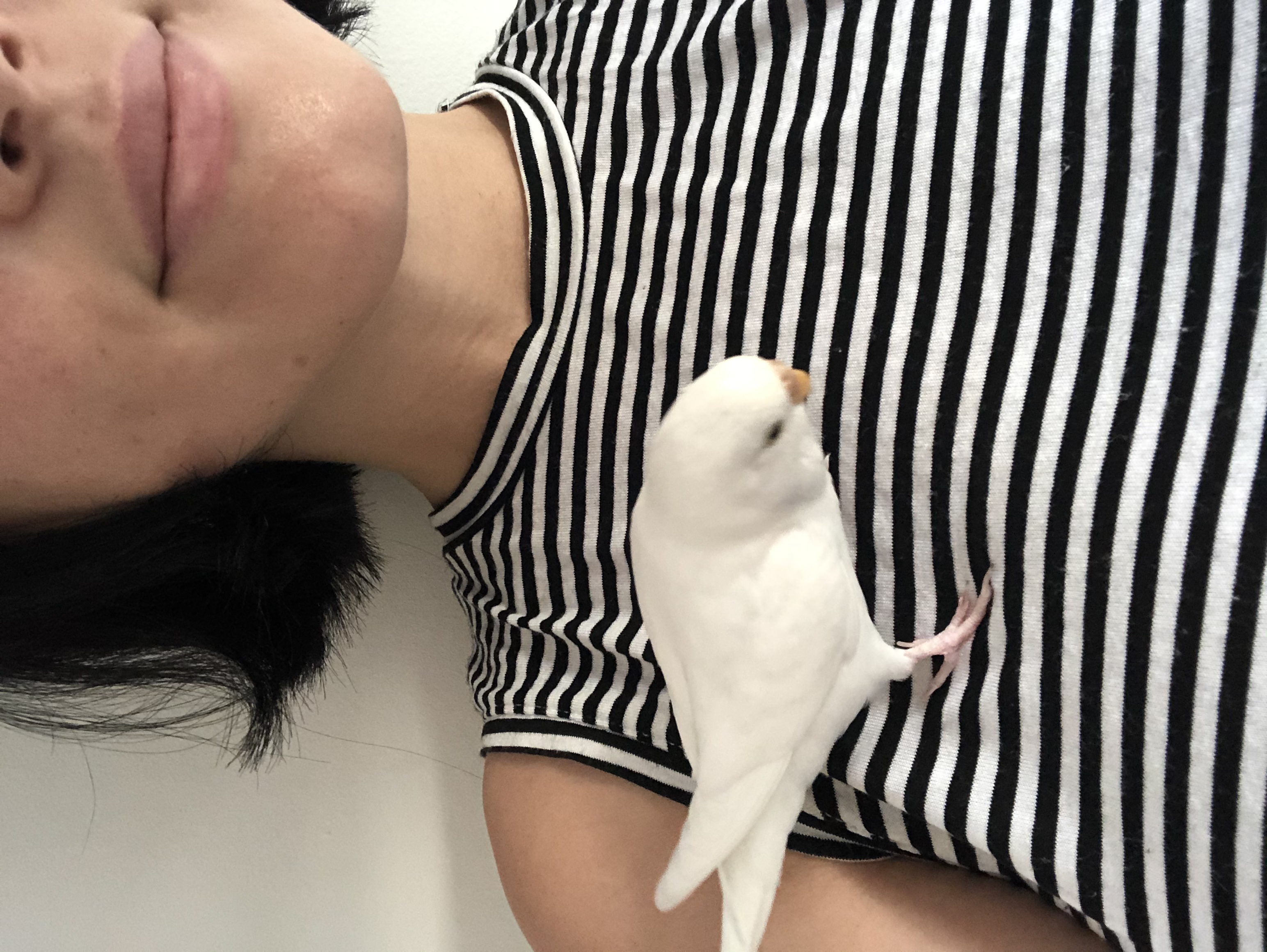 image-8