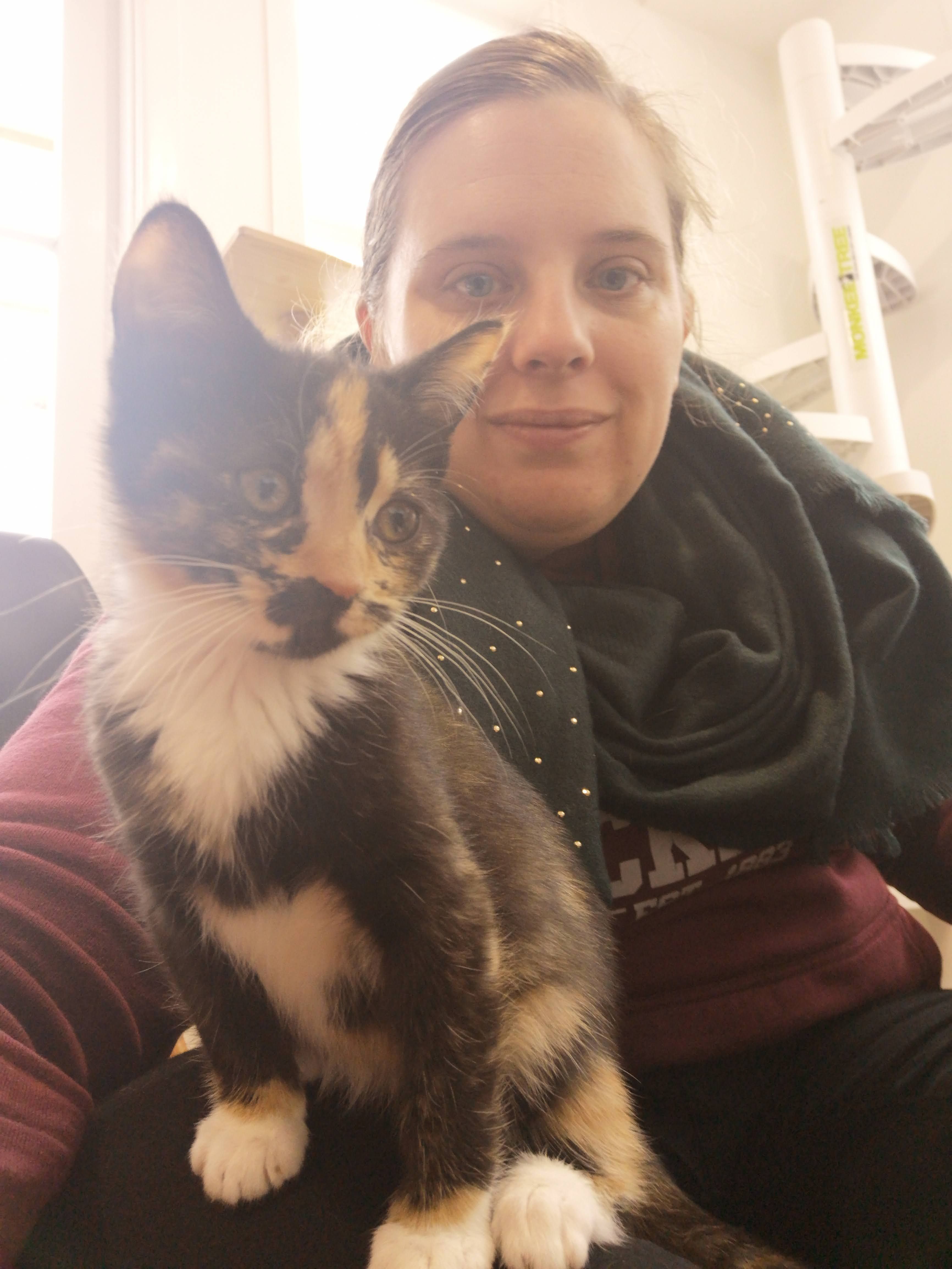 image-8
