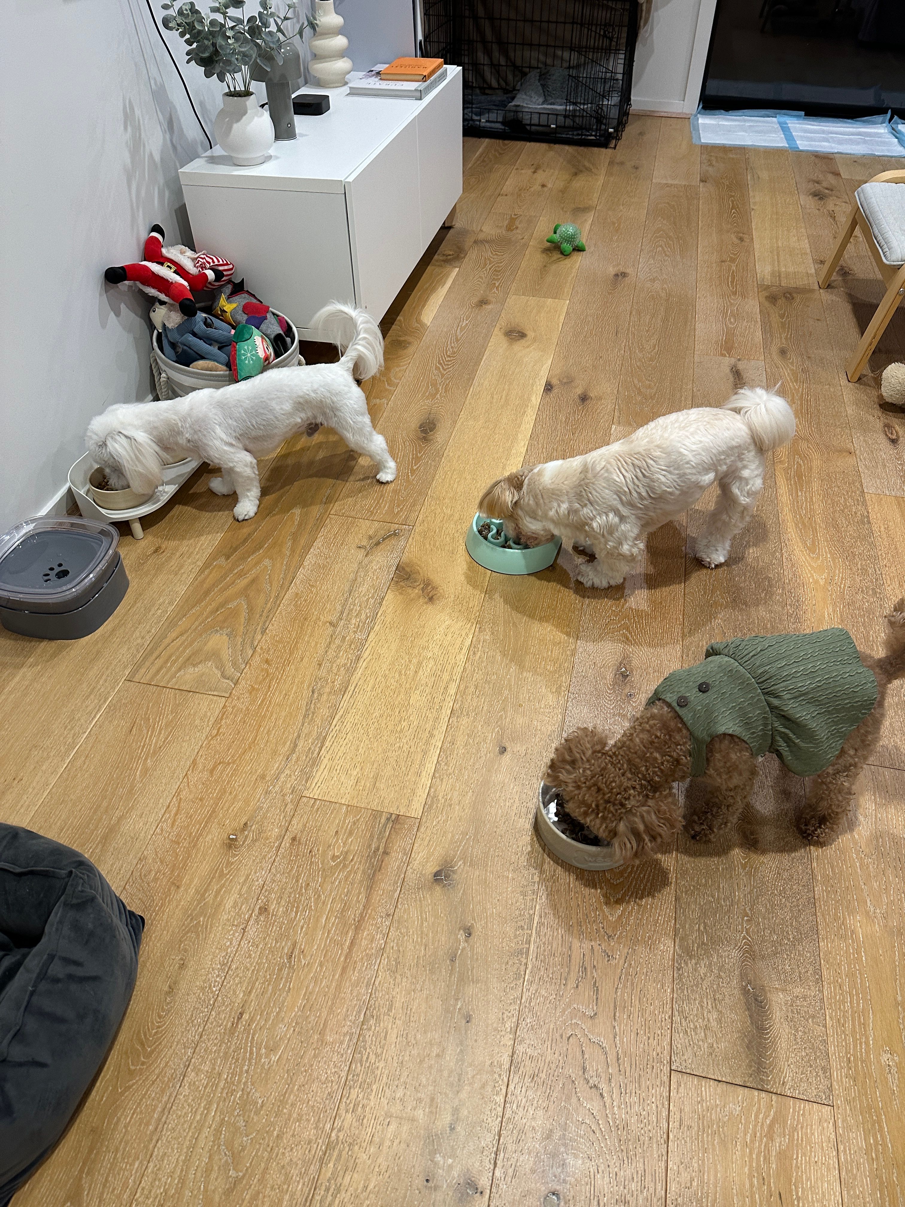 image-15
