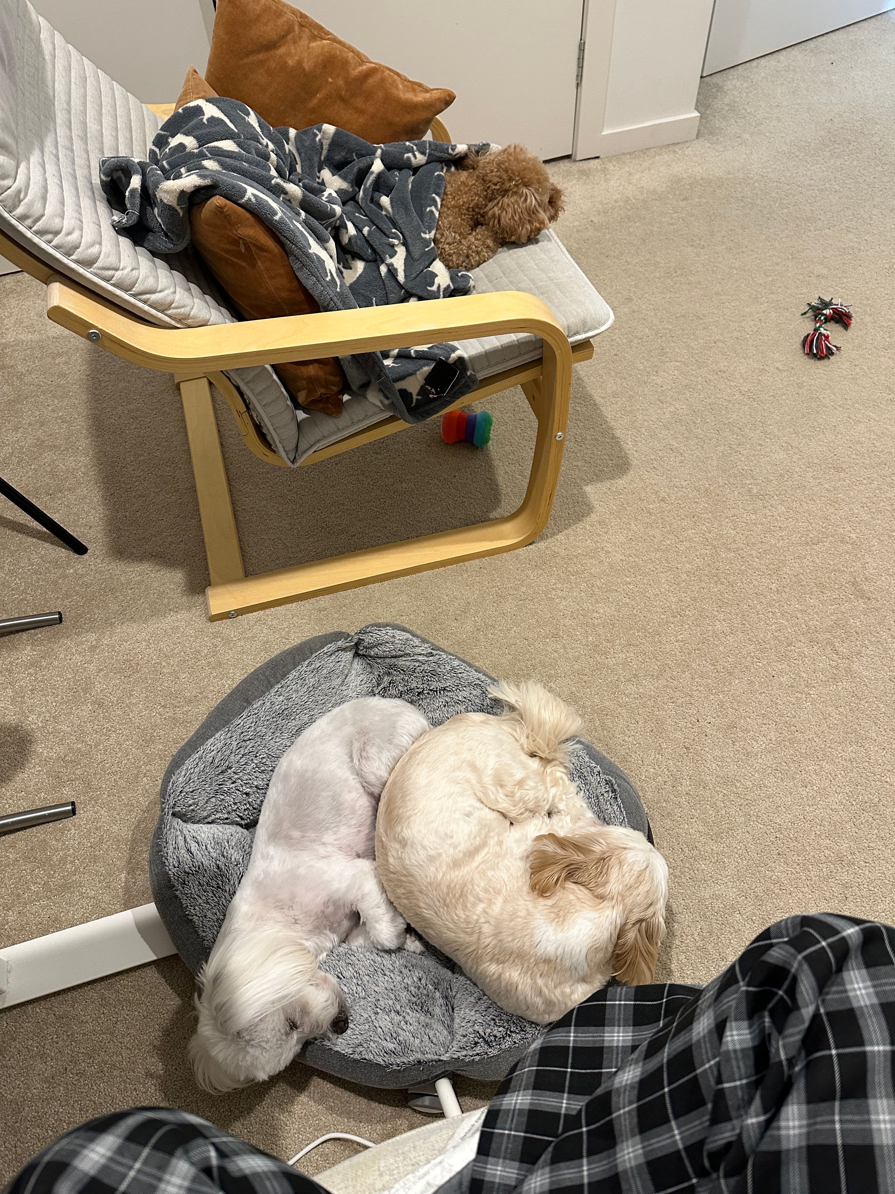 image-10