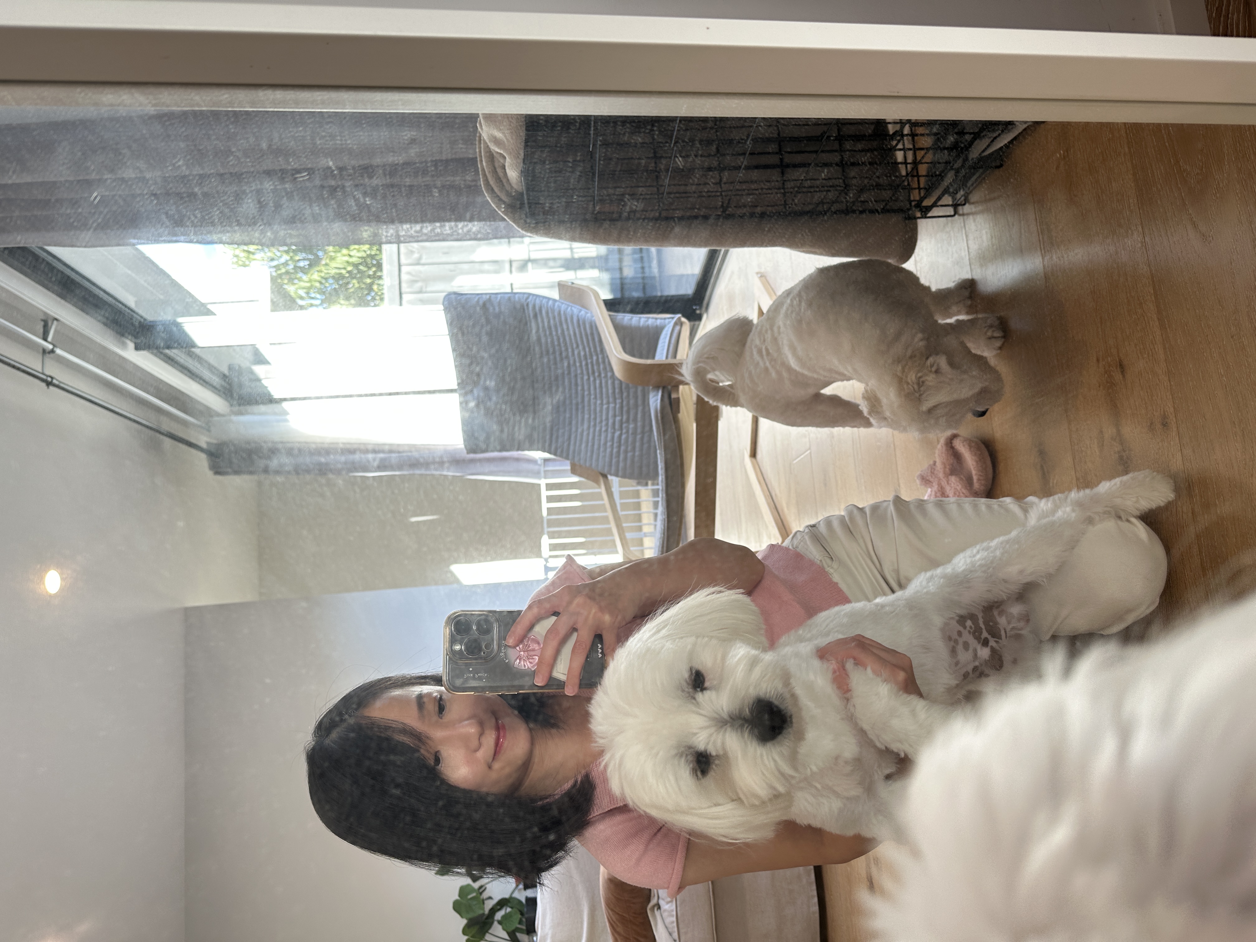 image-3