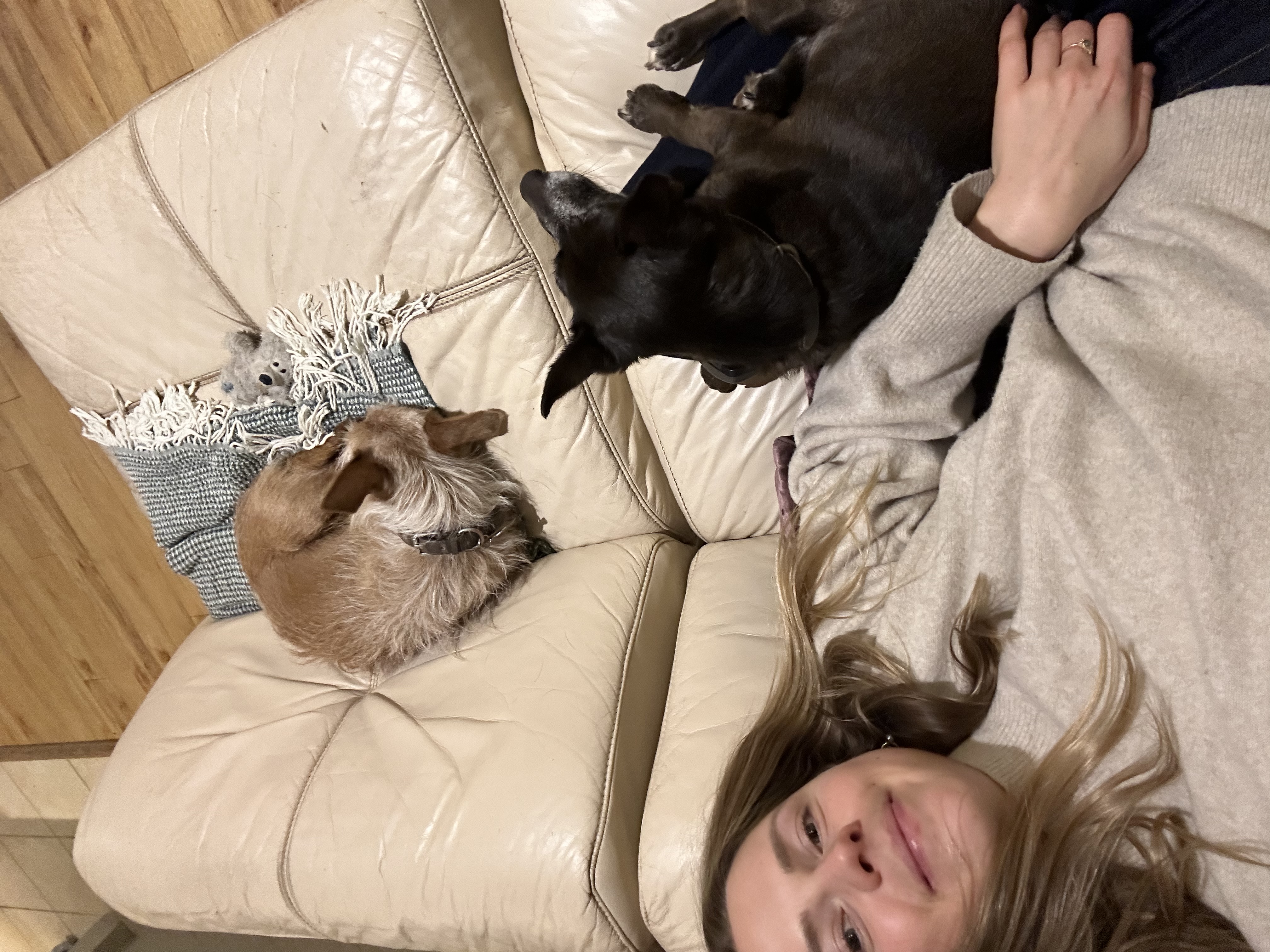 image-6