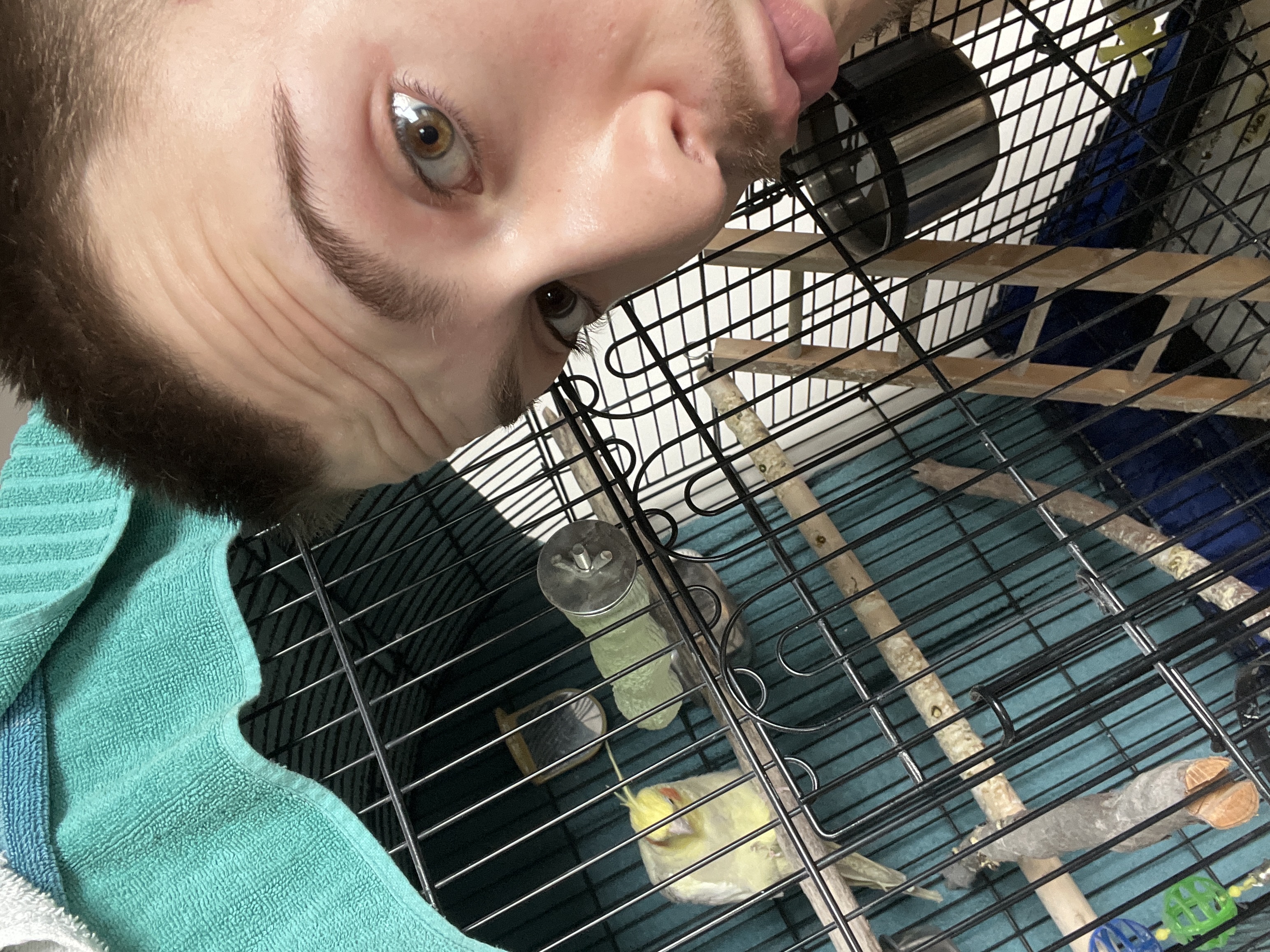 image-6
