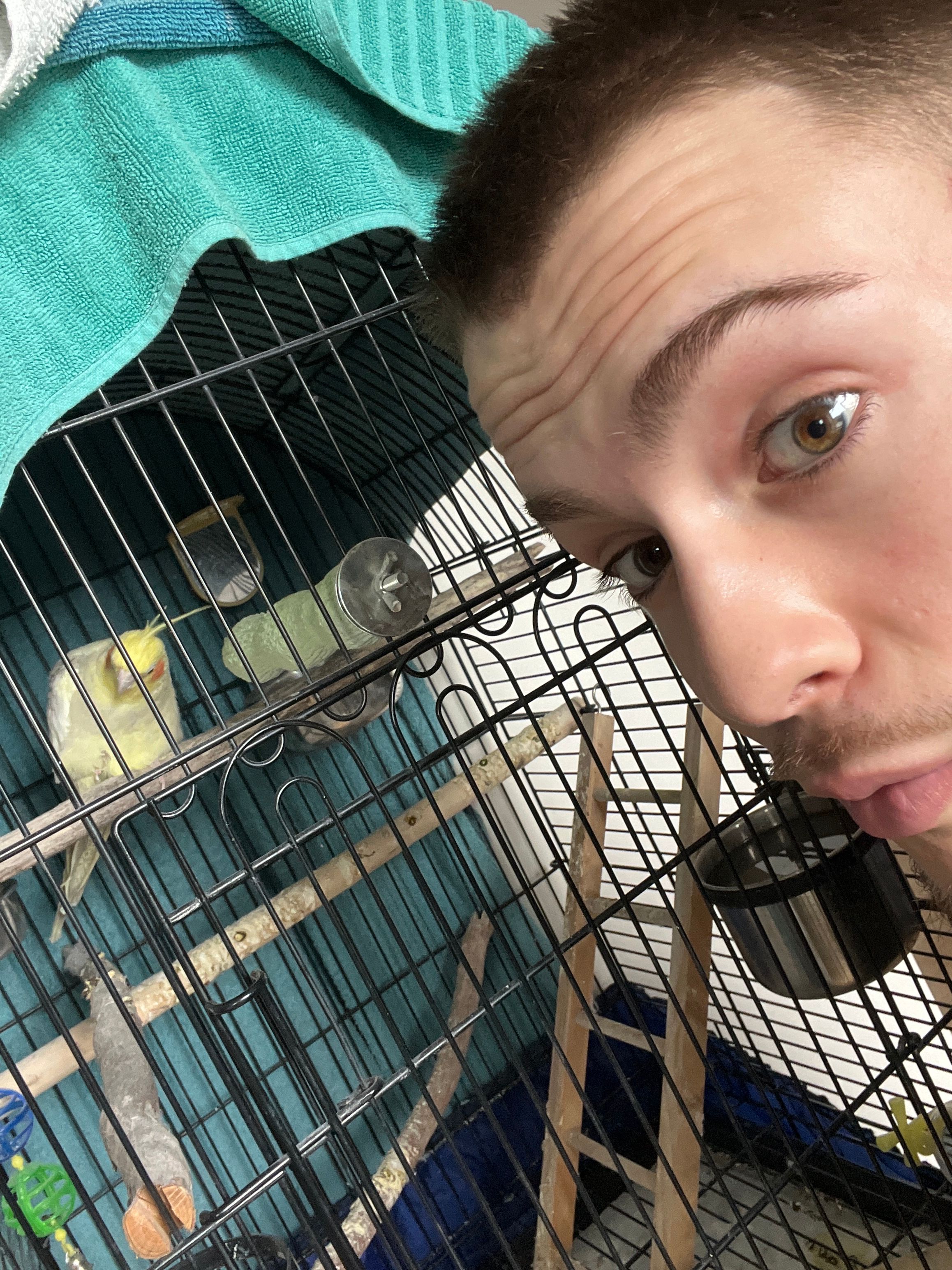 image-6