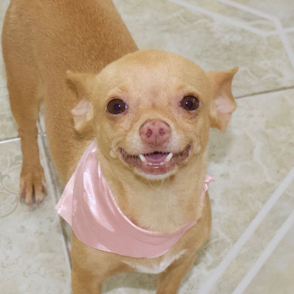 Mia