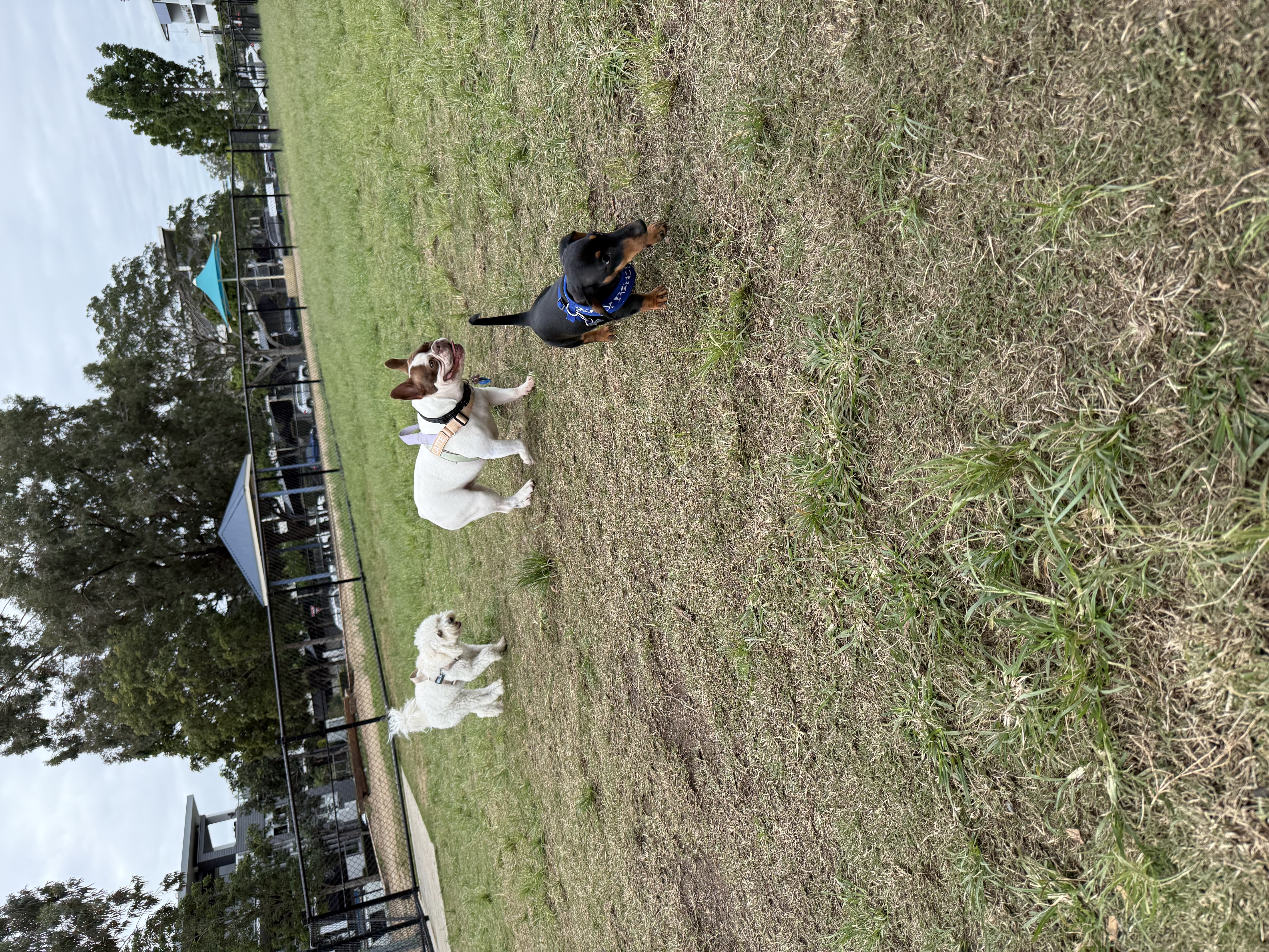 image-5