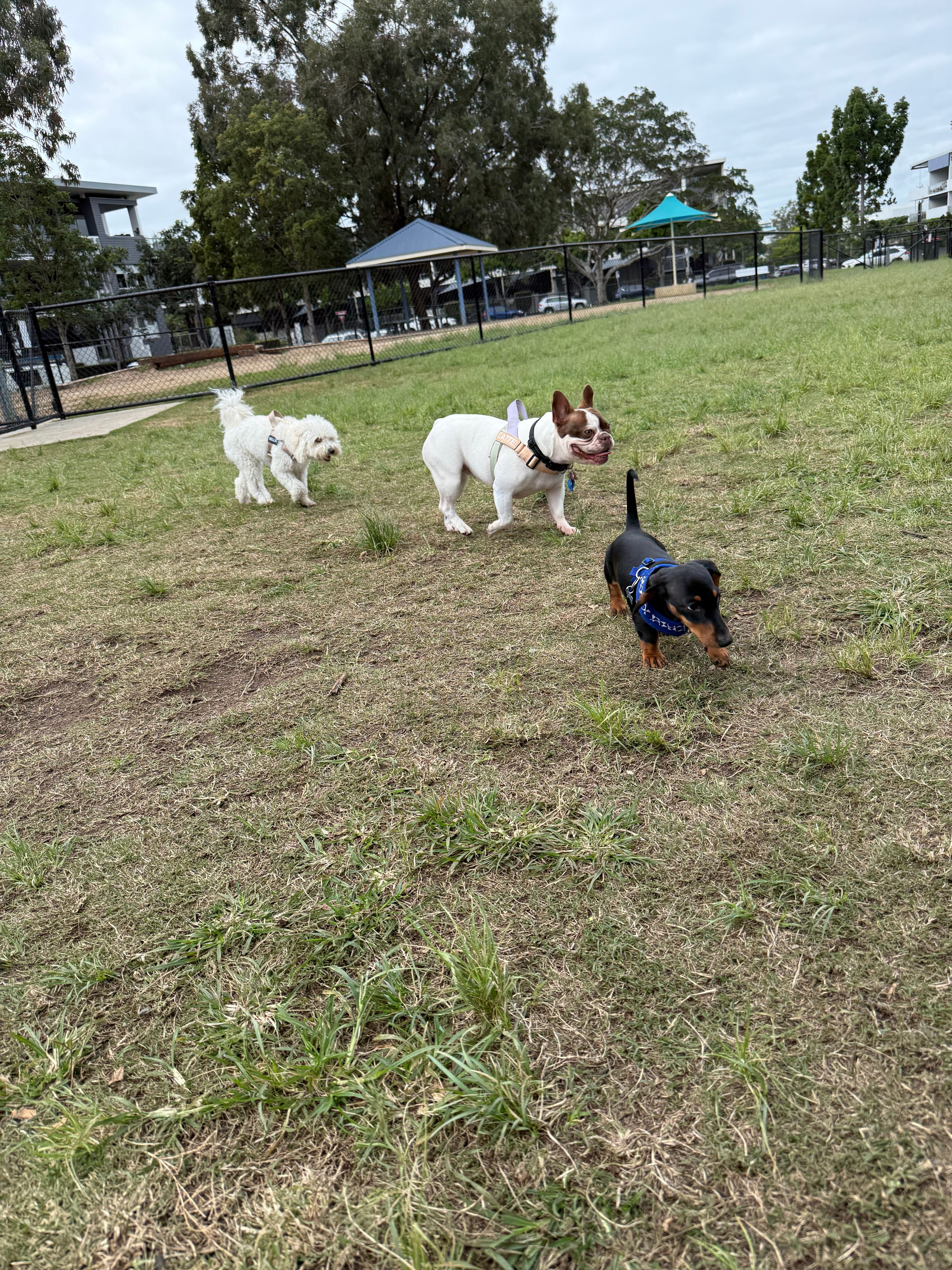 image-5