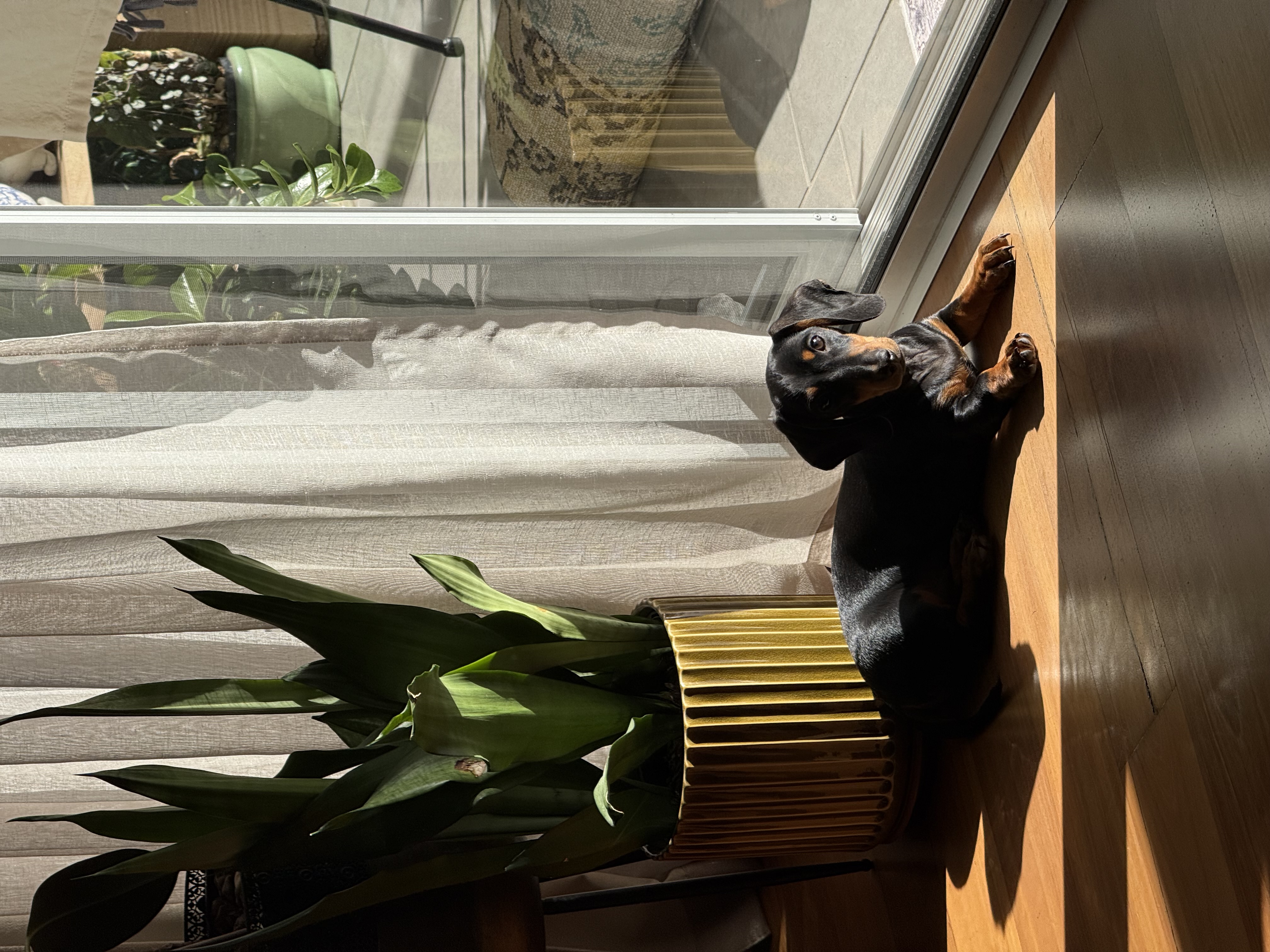 image-6