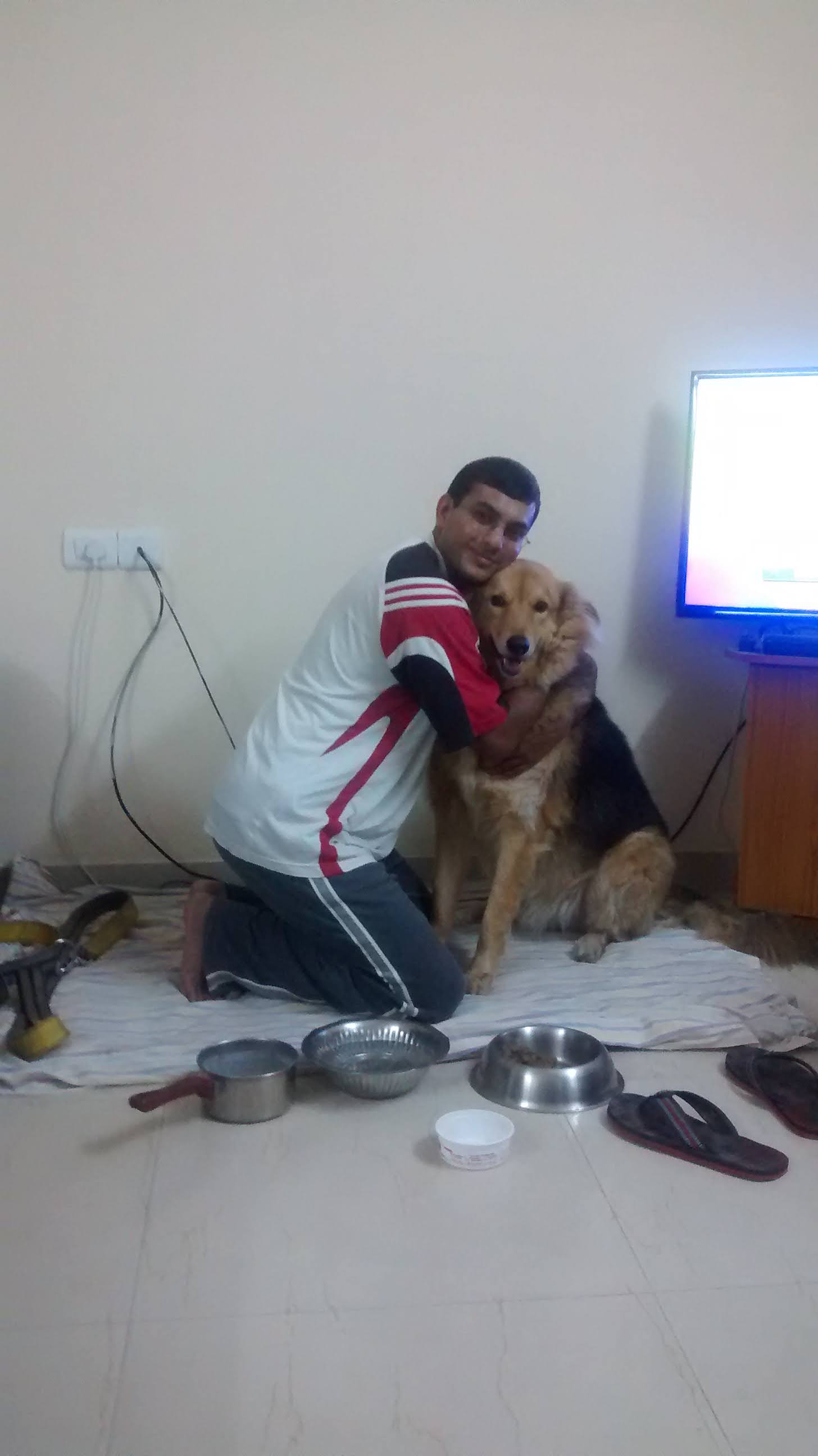 image-9