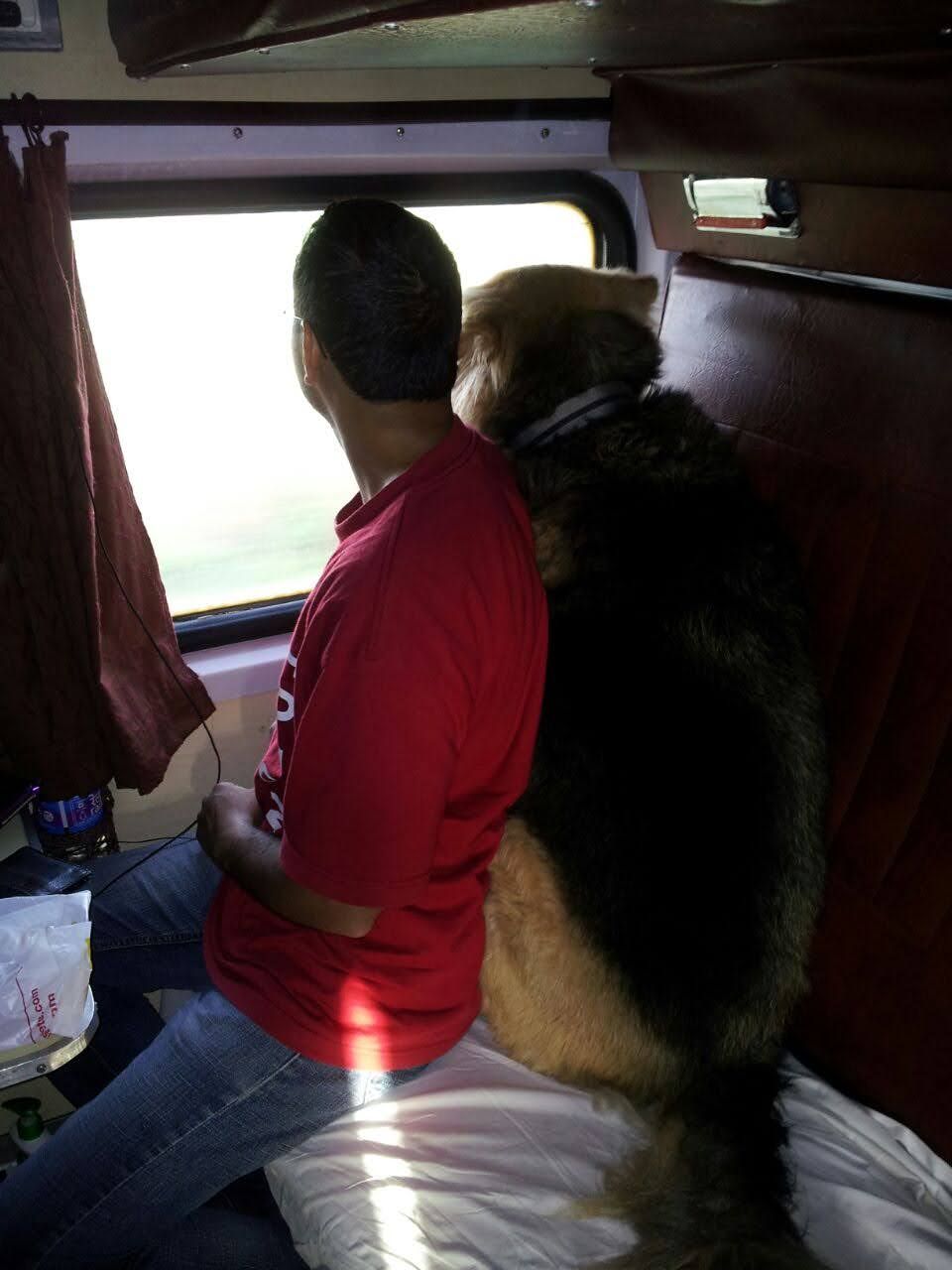 image-7