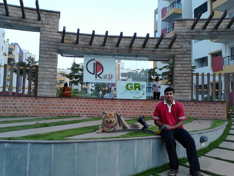 image-15