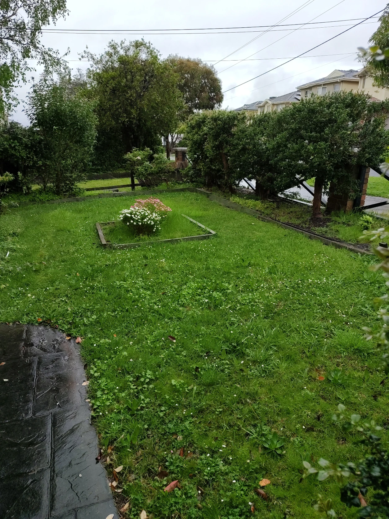 image-21