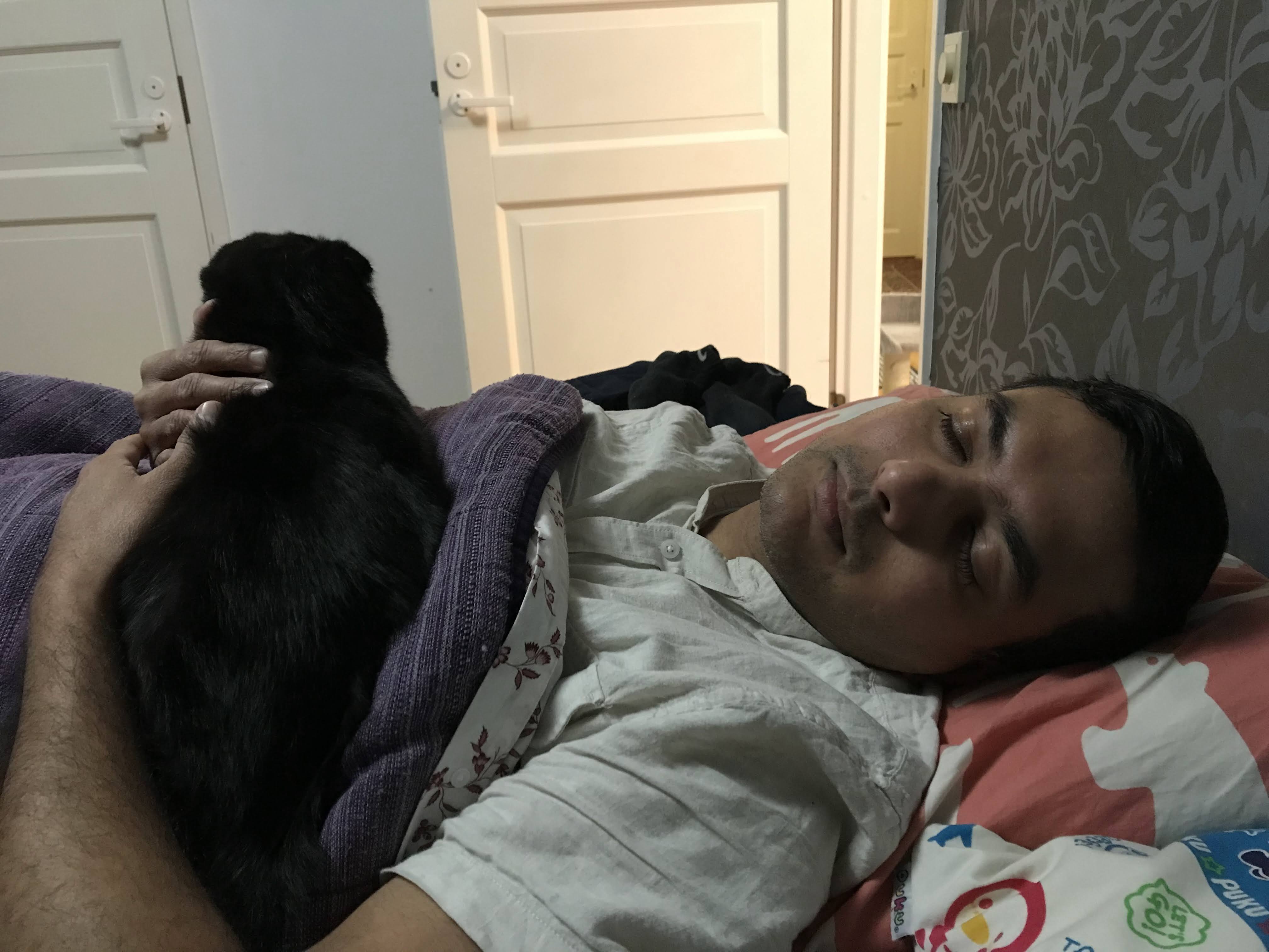 image-6