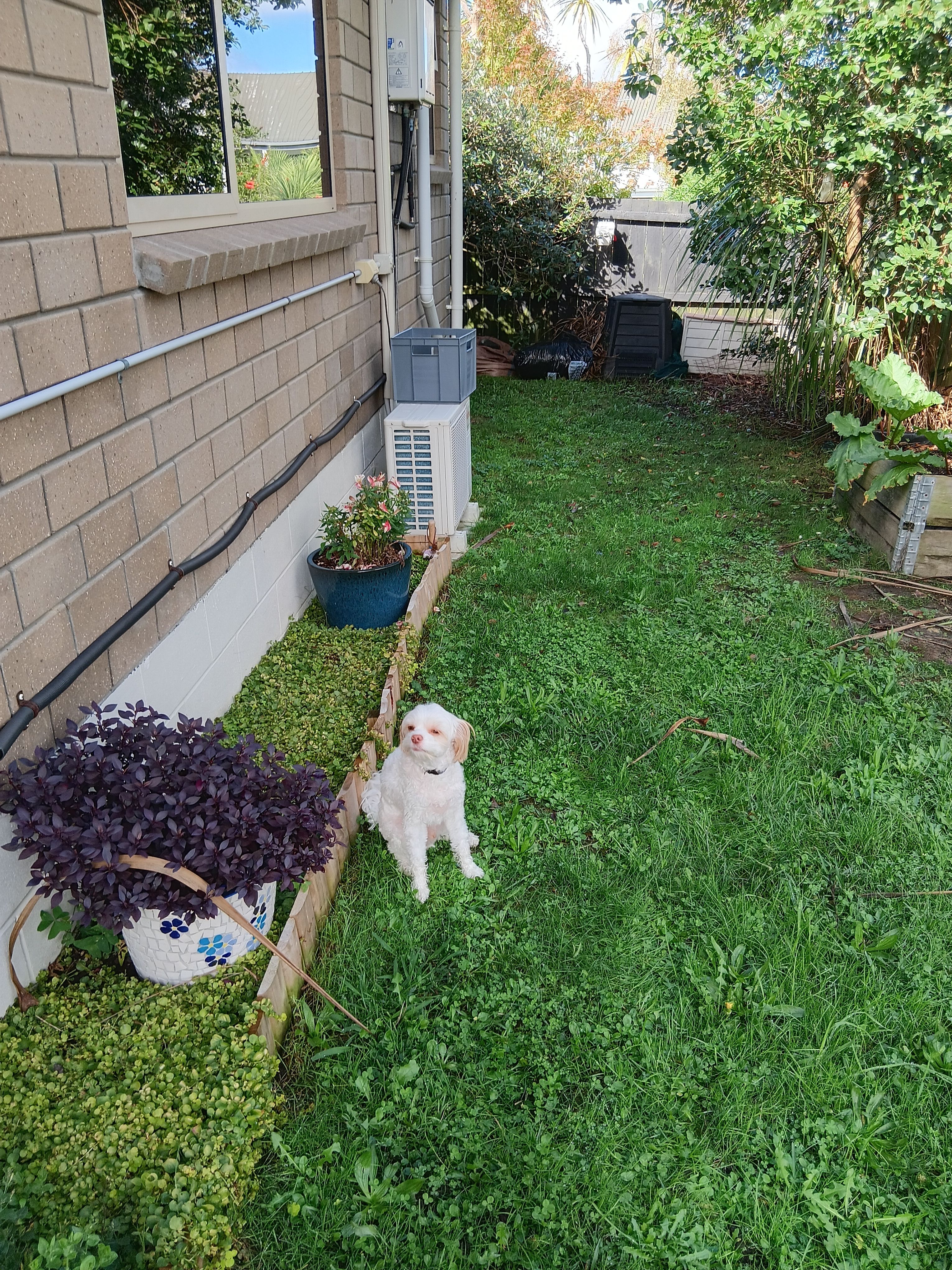 image-14