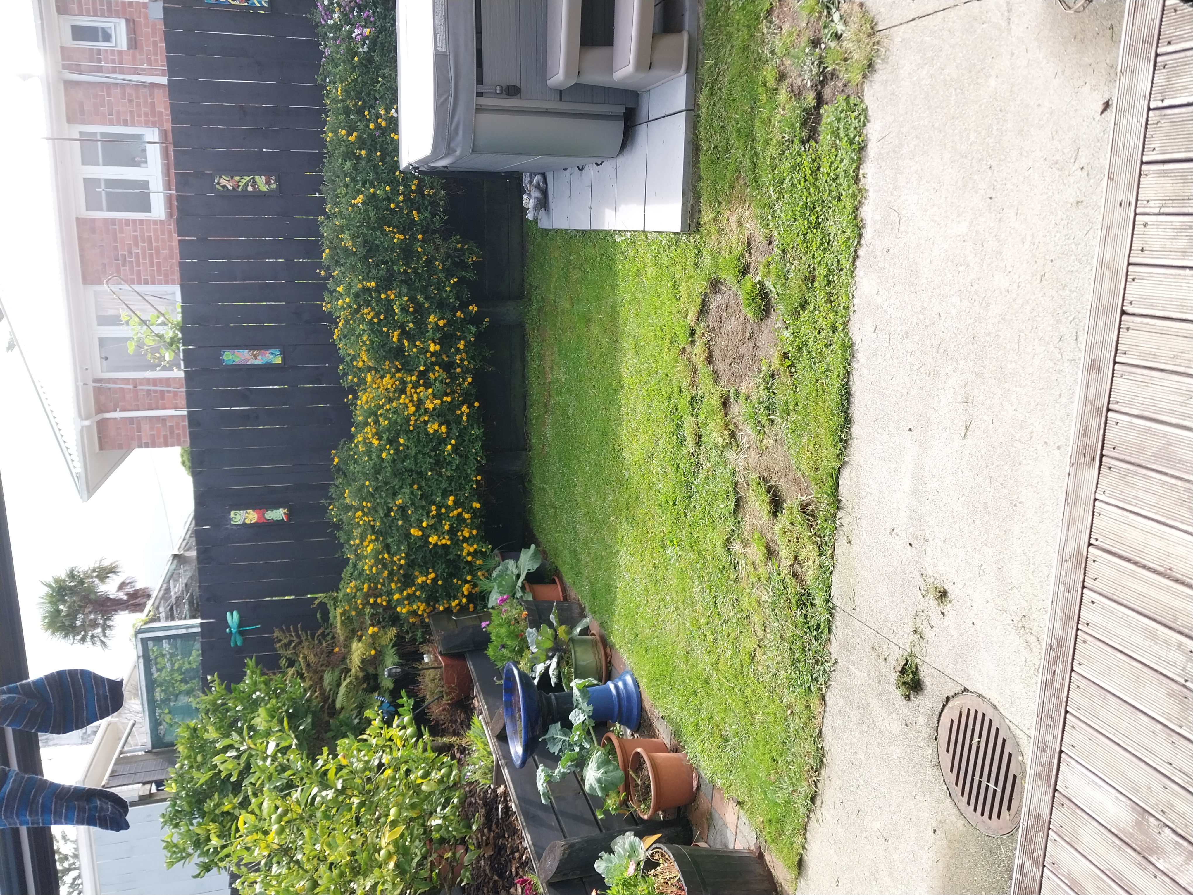 image-7