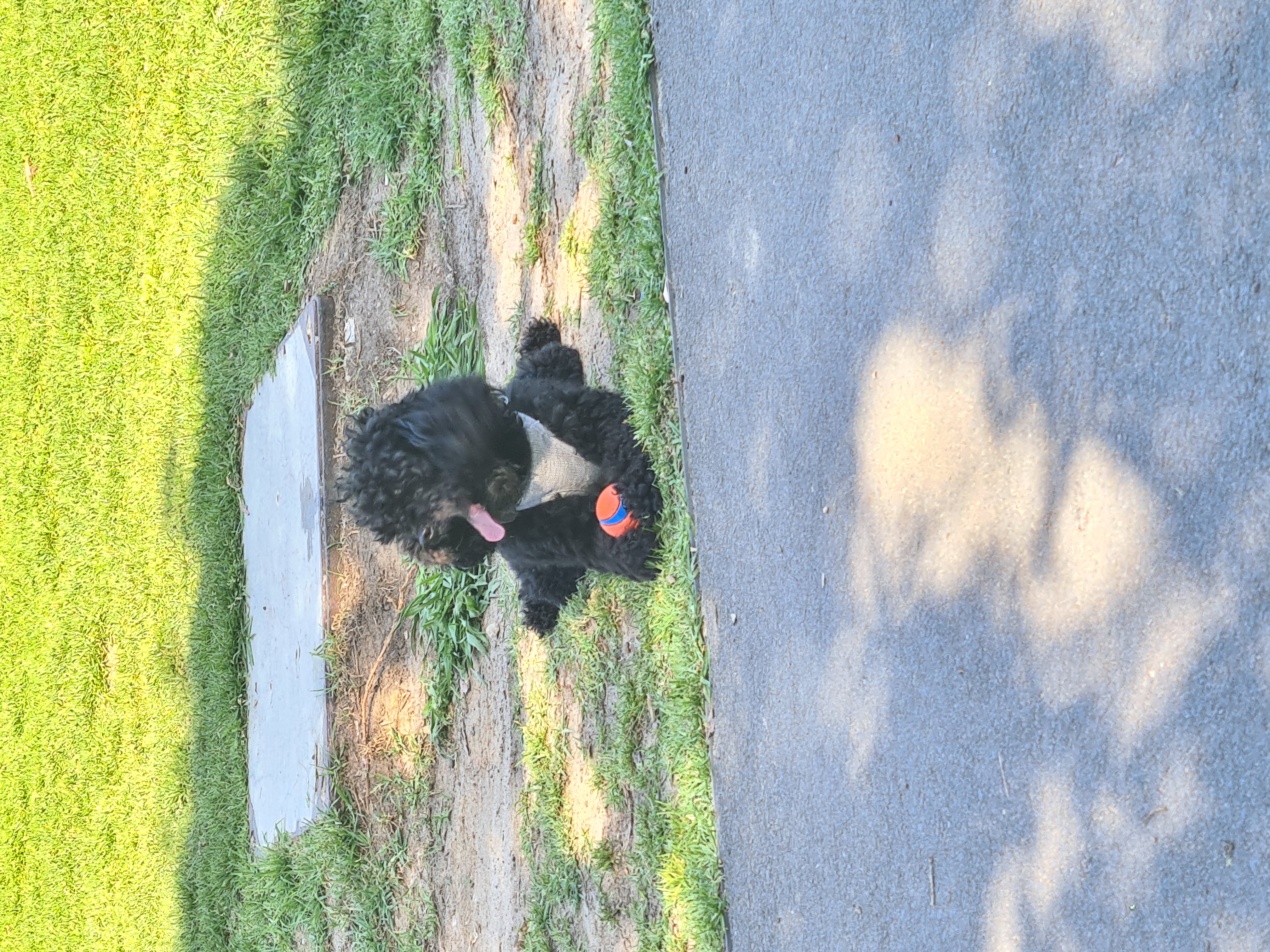 image-6
