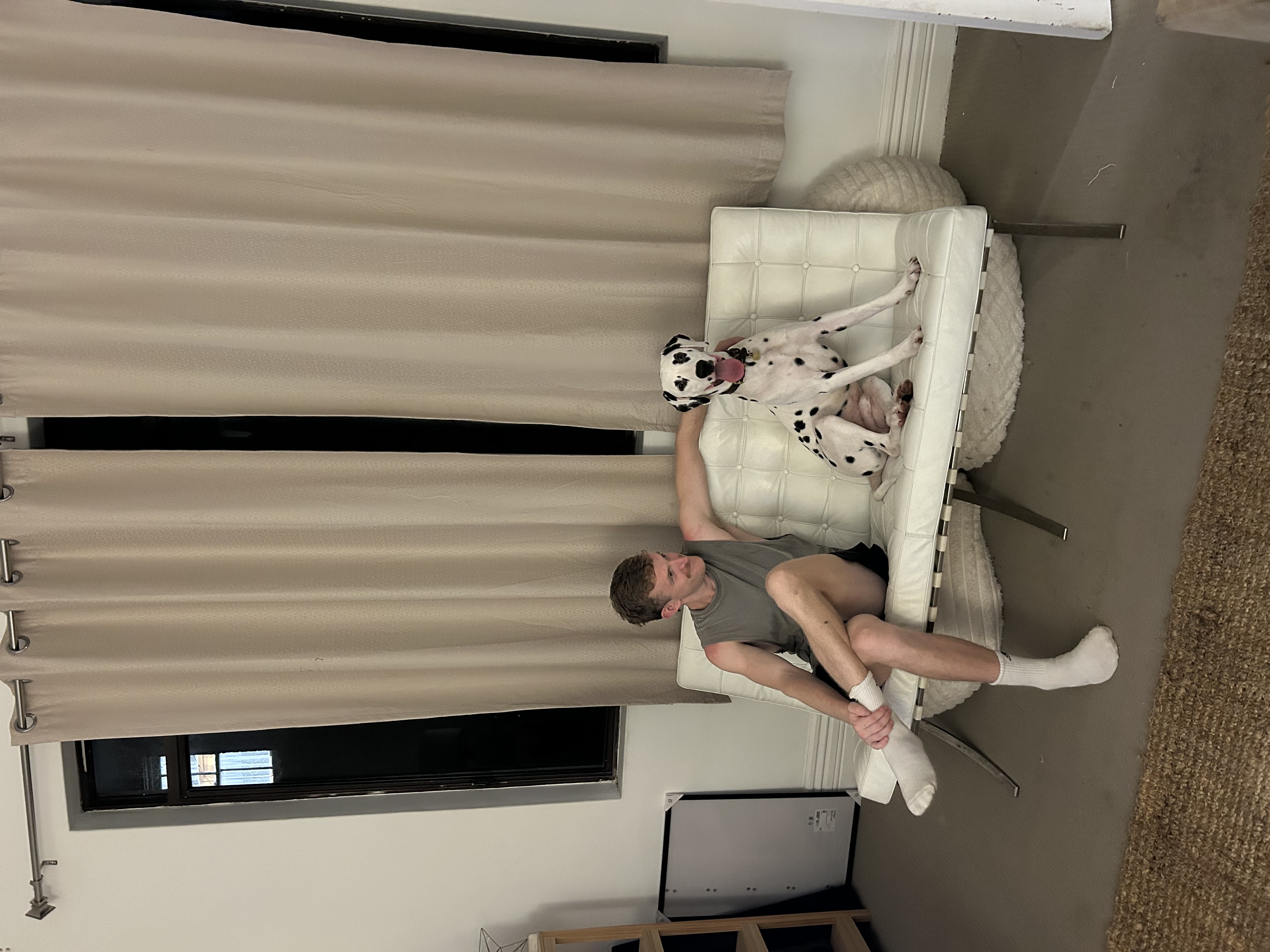 image-7
