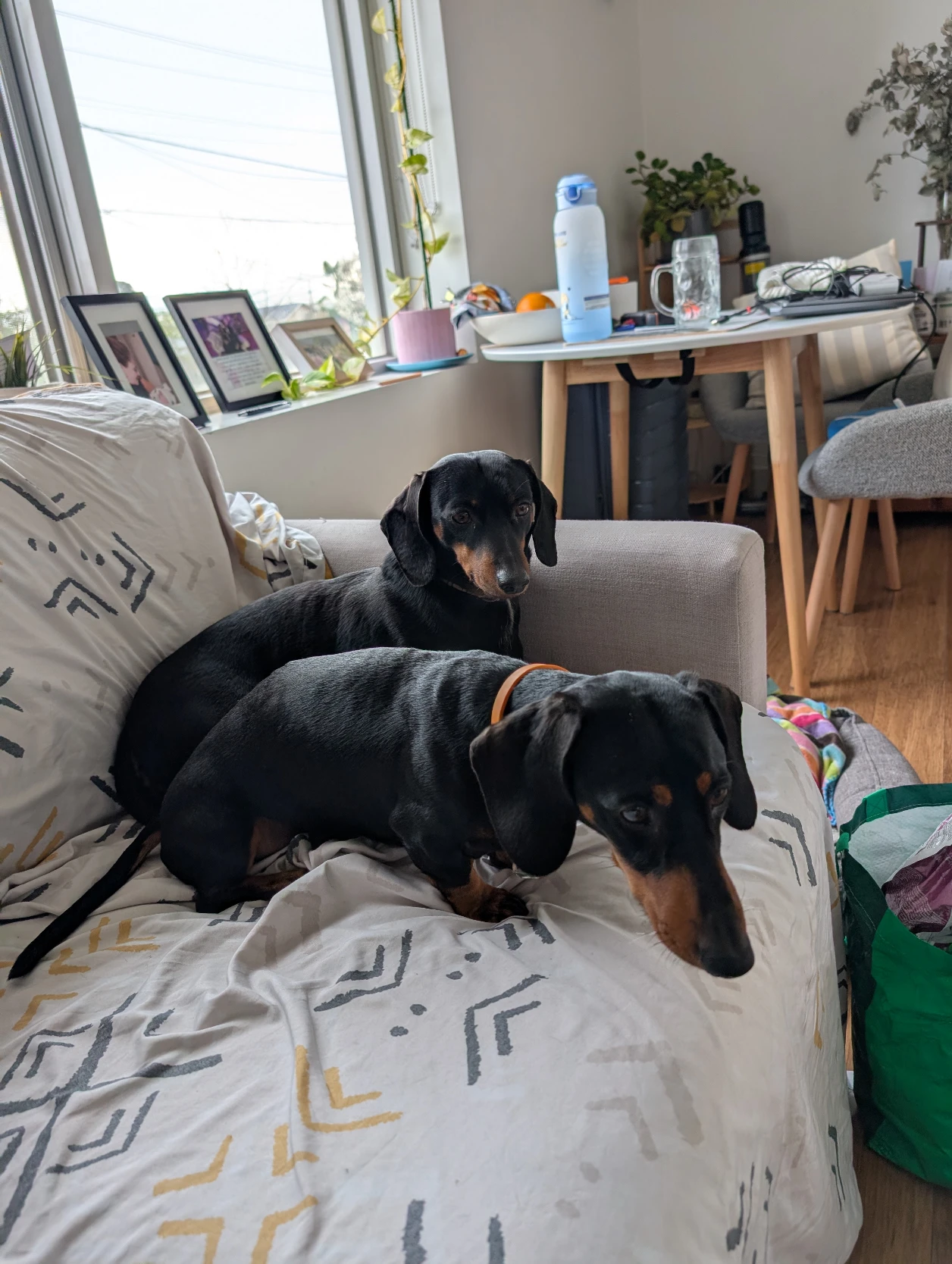 image-18