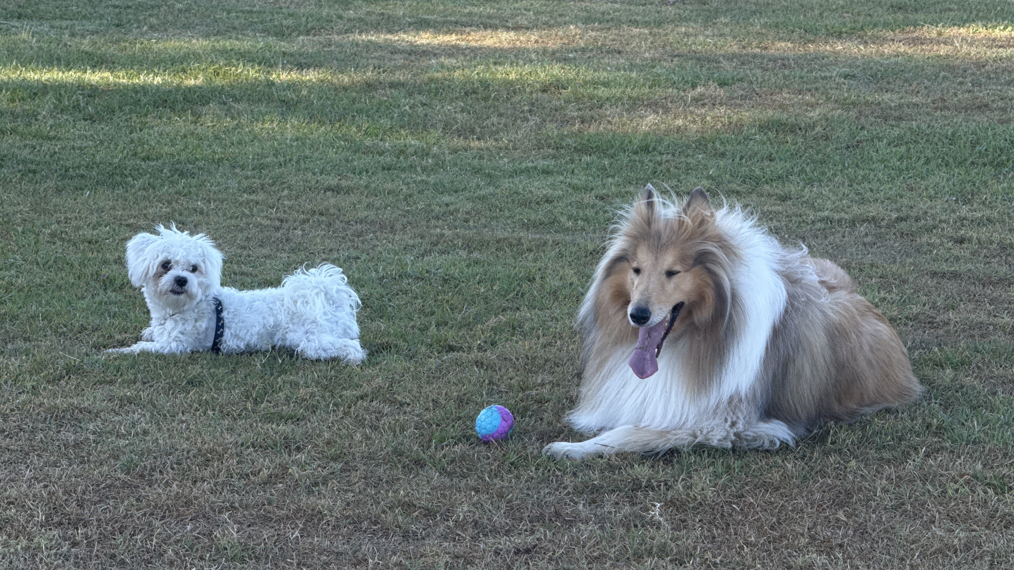 image-7
