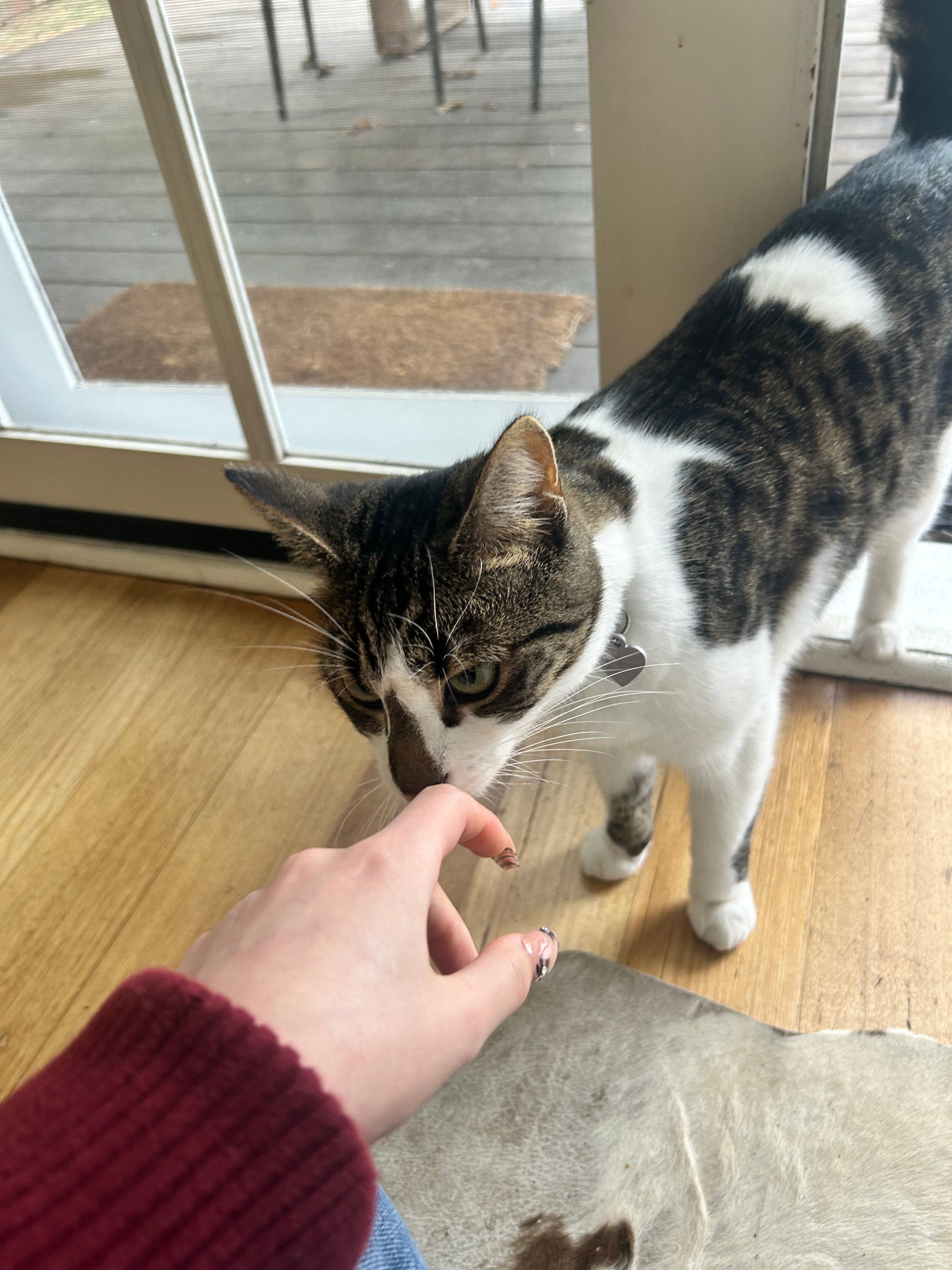 image-10