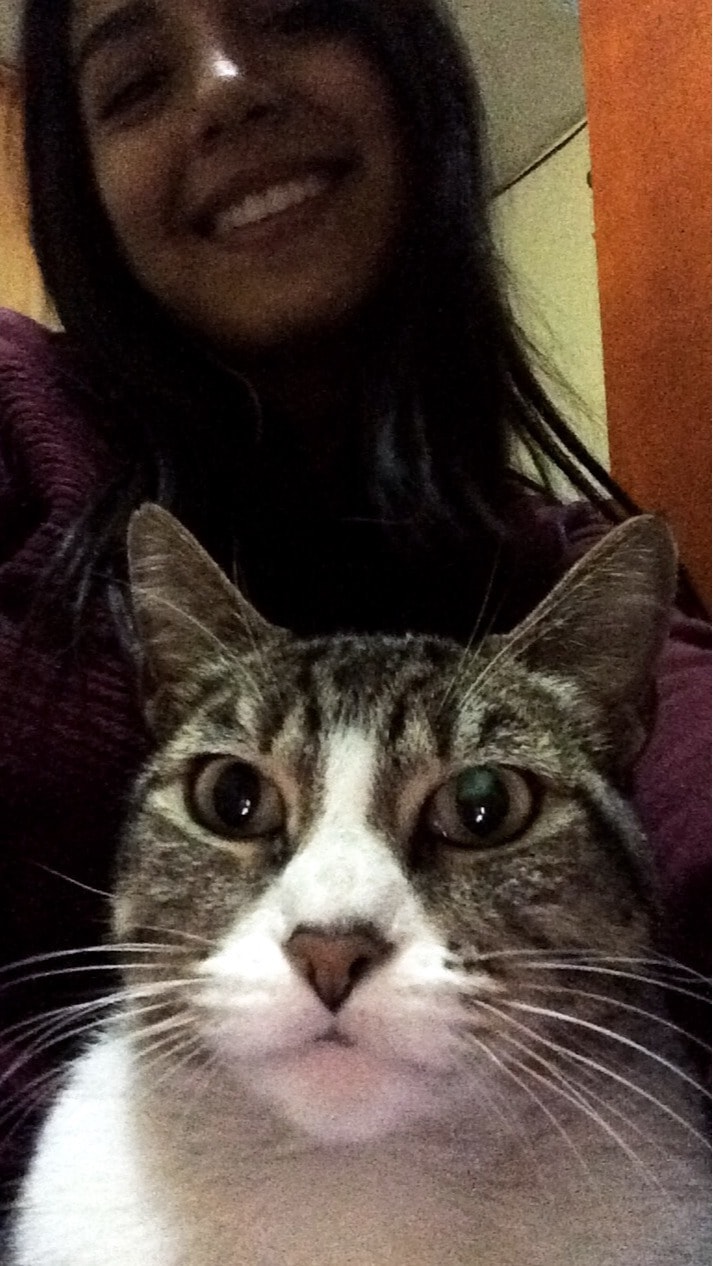 image-7