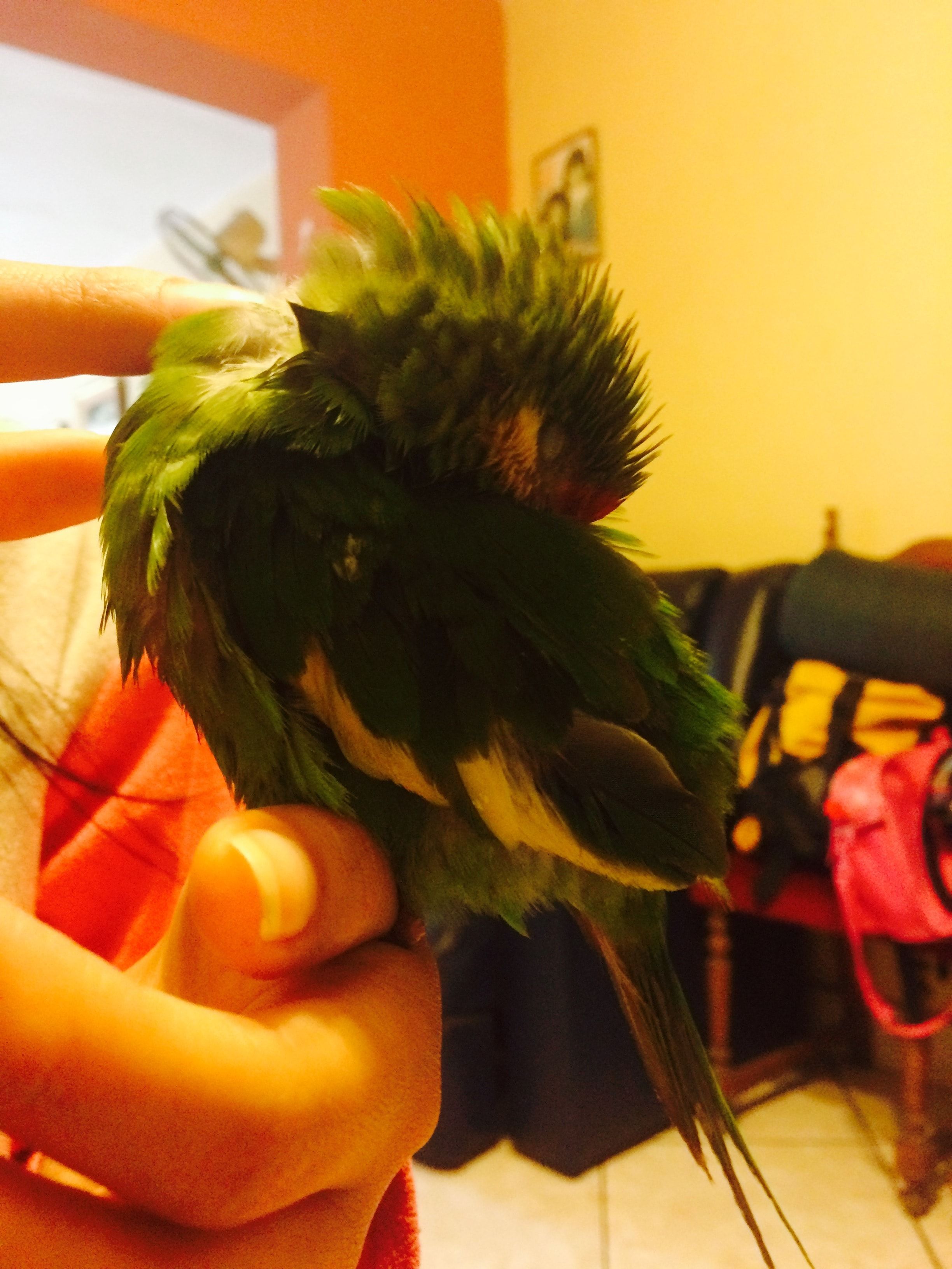 image-6