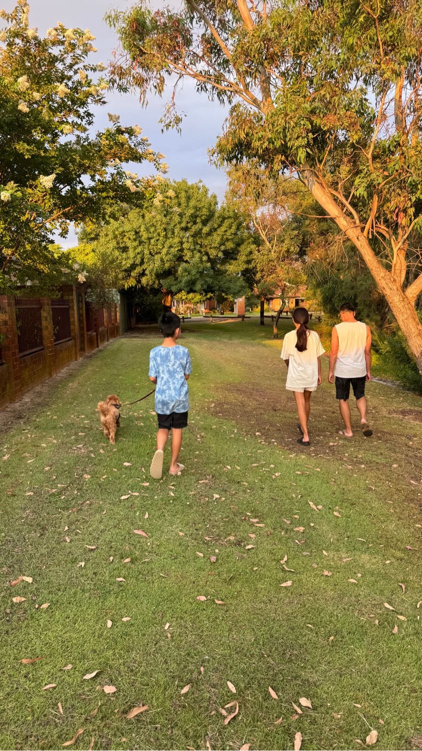 image-15