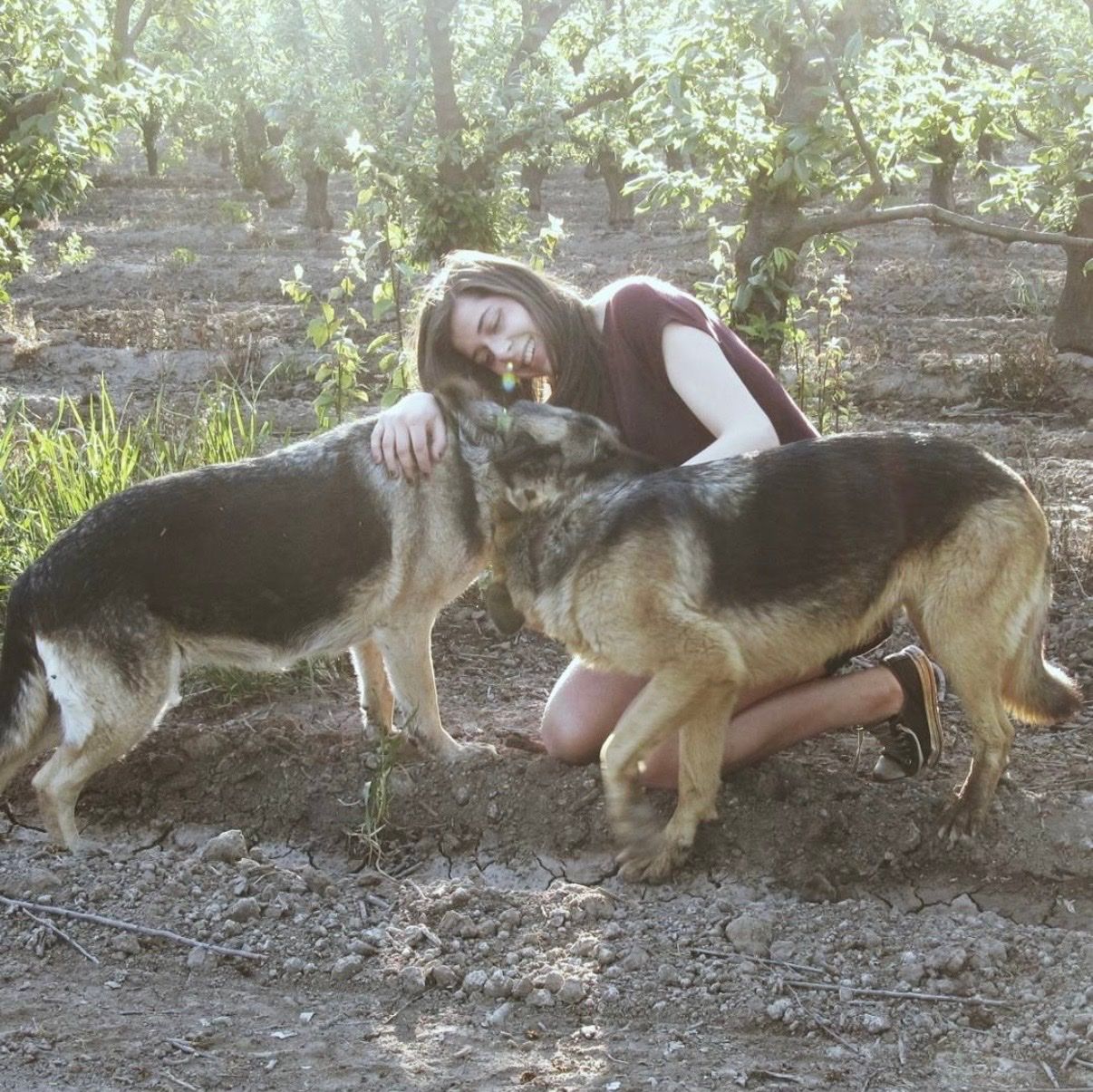 image-4