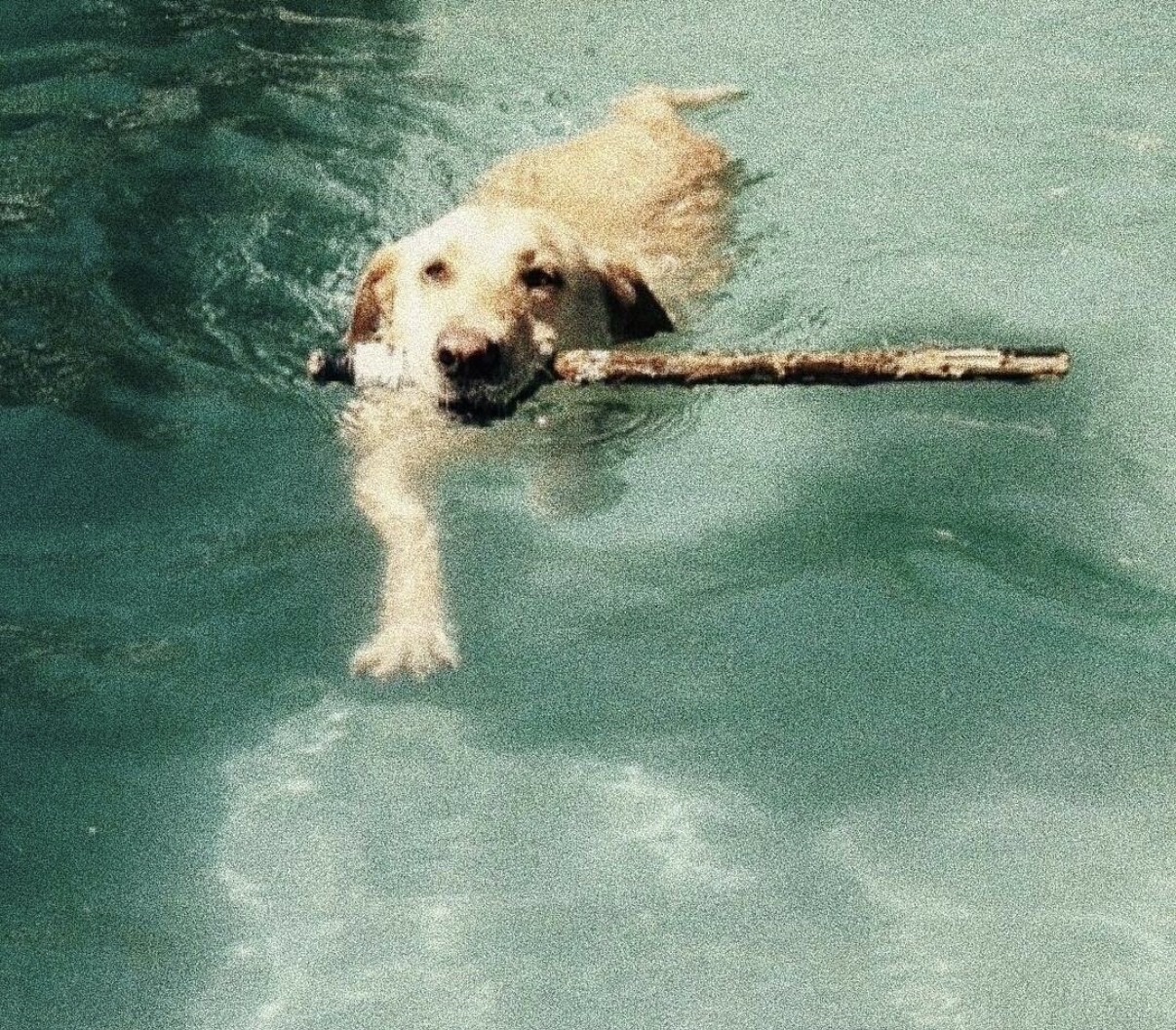 image-69